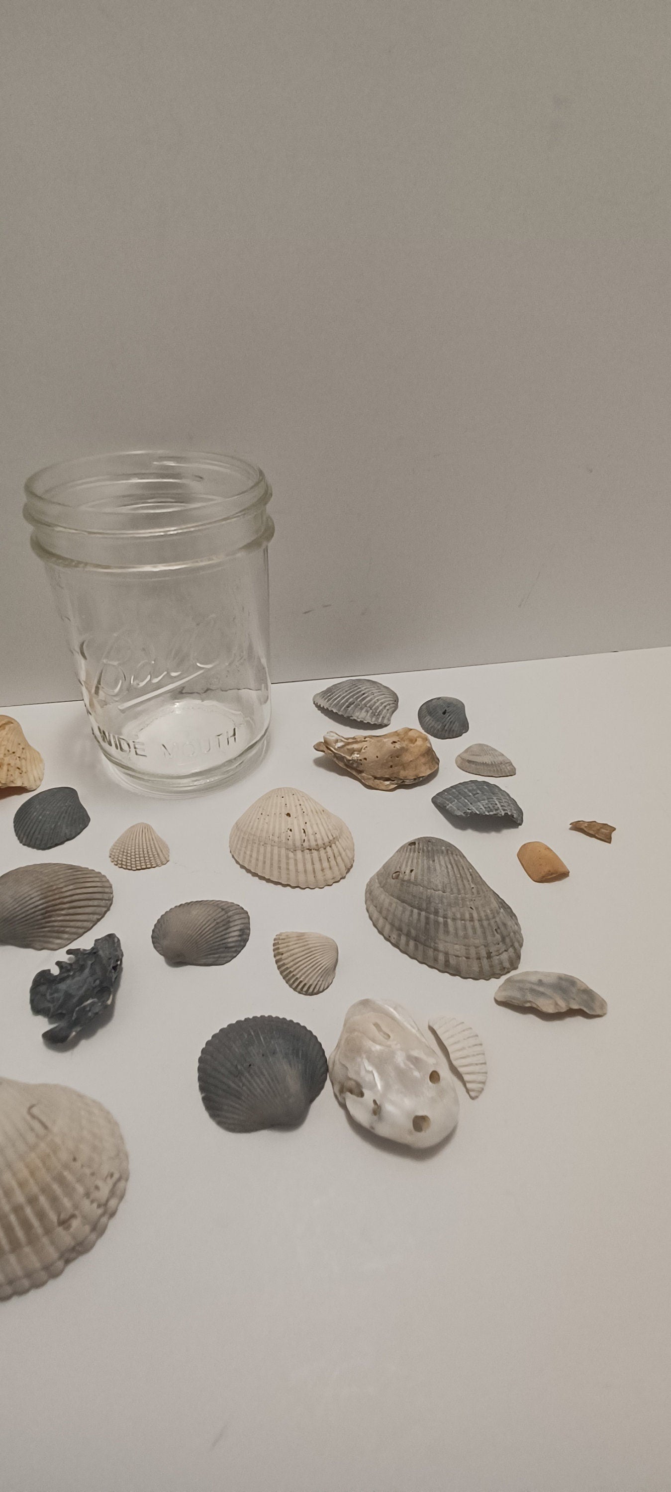 Ball Glass Jar With Sea Shells From Around The US - Sea Shells - Daytona Beach - Key West - Travel - Travel Gift - Glass Jar - Beach - Ocean