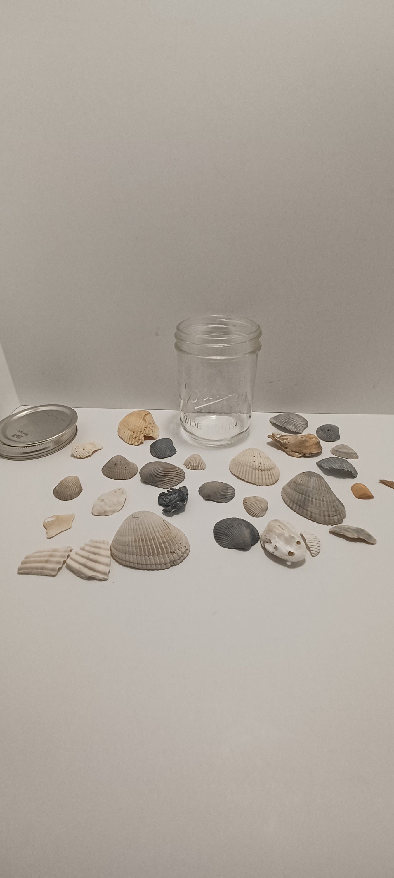 Ball Glass Jar With Sea Shells From Around The US - Sea Shells - Daytona Beach - Key West - Travel - Travel Gift - Glass Jar - Beach - Ocean