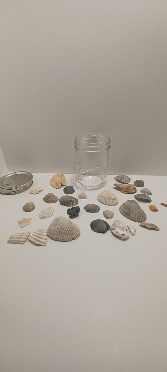 Ball Glass Jar With Sea Shells From Around The US - Sea Shells - Daytona Beach - Key West - Travel - Travel Gift - Glass Jar - Beach - Ocean