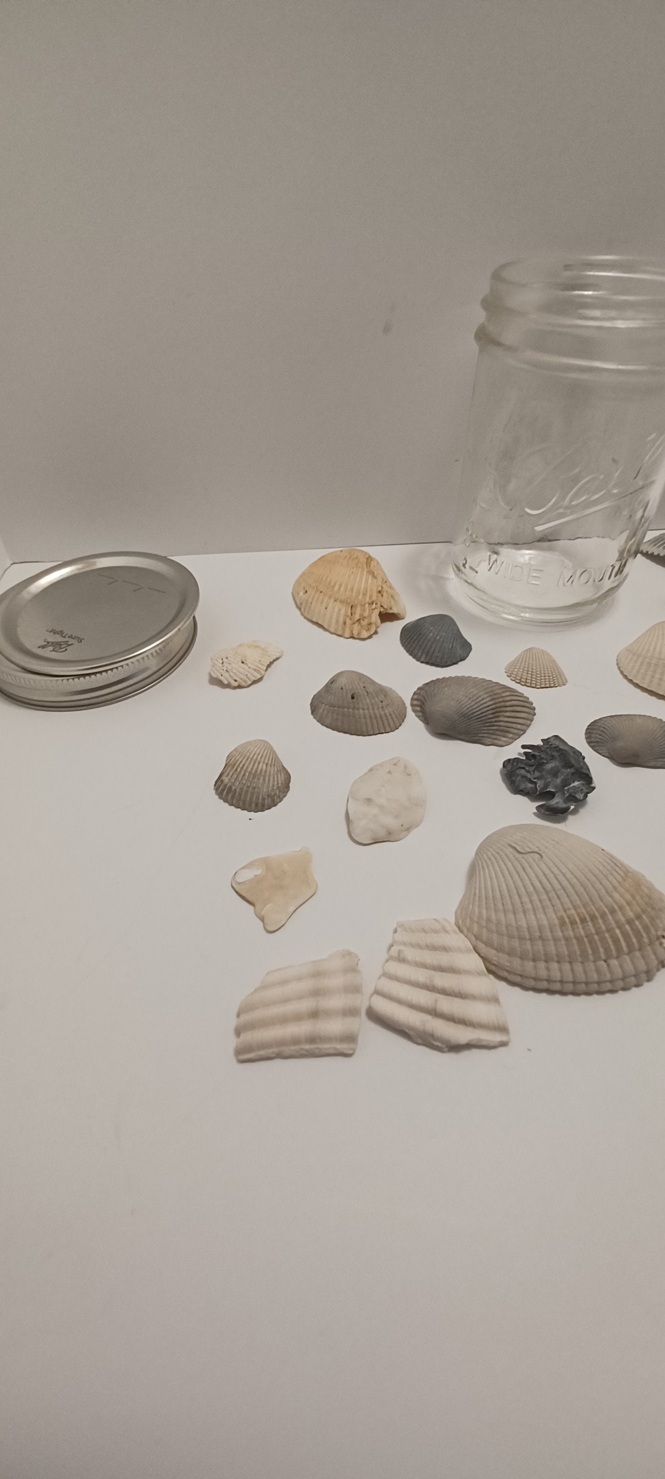 Ball Glass Jar With Sea Shells From Around The US - Sea Shells - Daytona Beach - Key West - Travel - Travel Gift - Glass Jar - Beach - Ocean