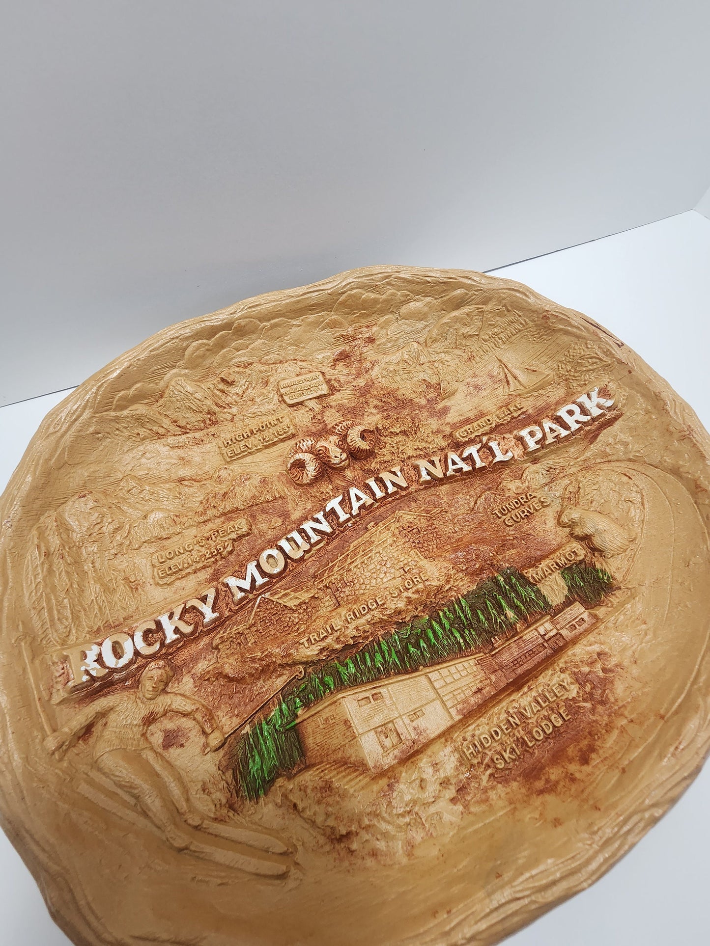 Rocky Mountains Souvenir Bowl - Colorado Souvenir - Rocky Mountains - The Rockys - Fruit Bowl - Decorative Bowl - Traveling - Souvenir