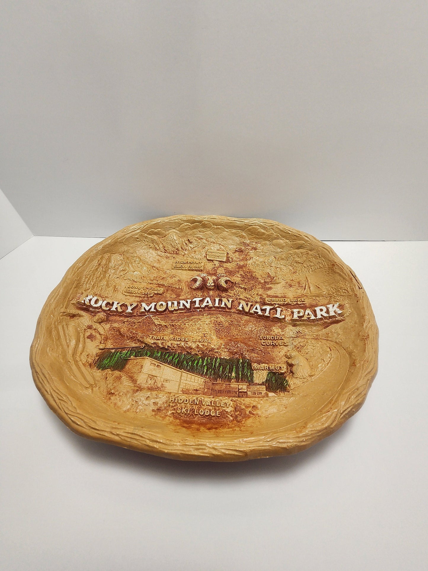 Rocky Mountains Souvenir Bowl - Colorado Souvenir - Rocky Mountains - The Rockys - Fruit Bowl - Decorative Bowl - Traveling - Souvenir