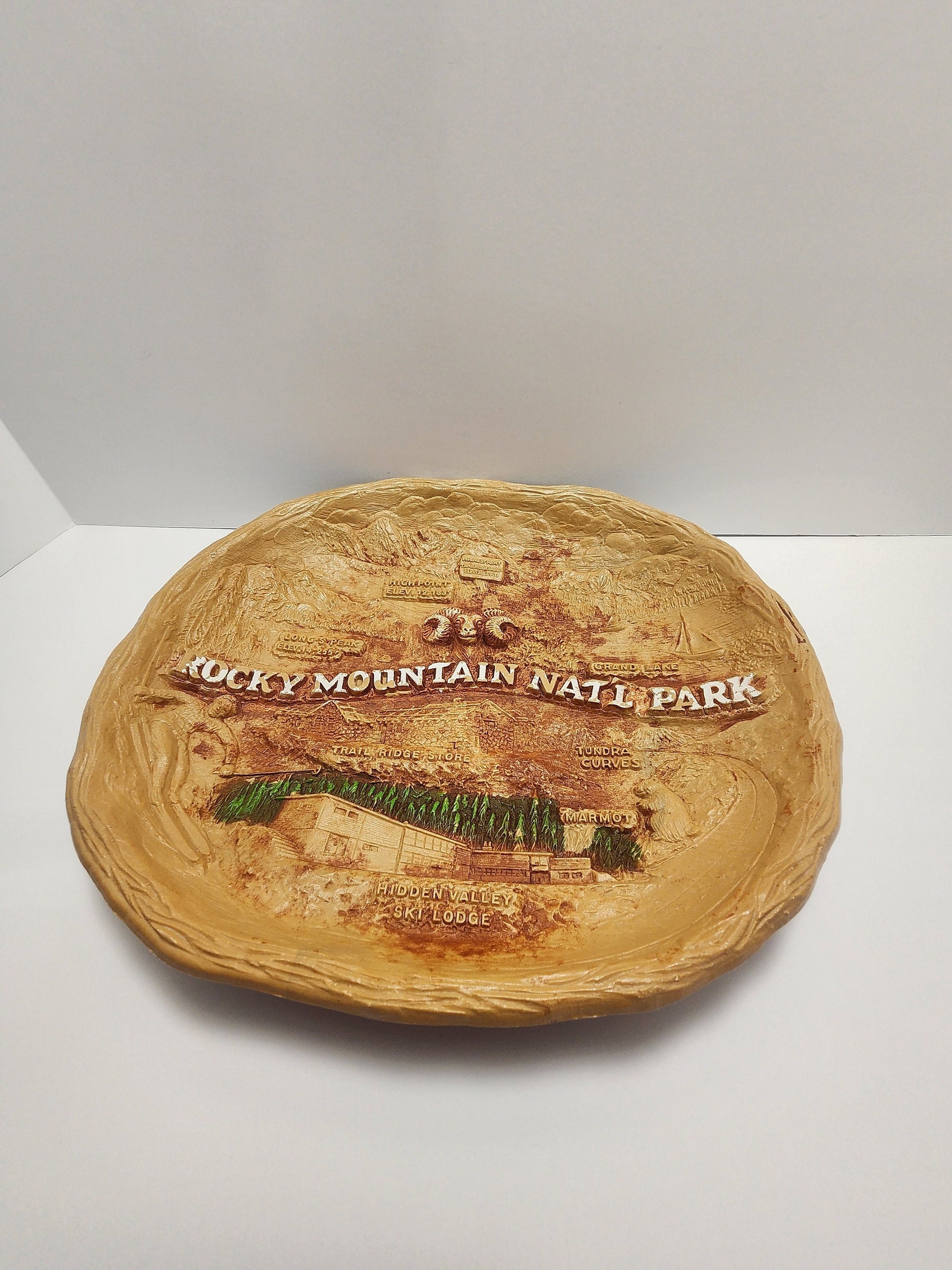 Rocky Mountains Souvenir Bowl - Colorado Souvenir - Rocky Mountains - The Rockys - Fruit Bowl - Decorative Bowl - Traveling - Souvenir