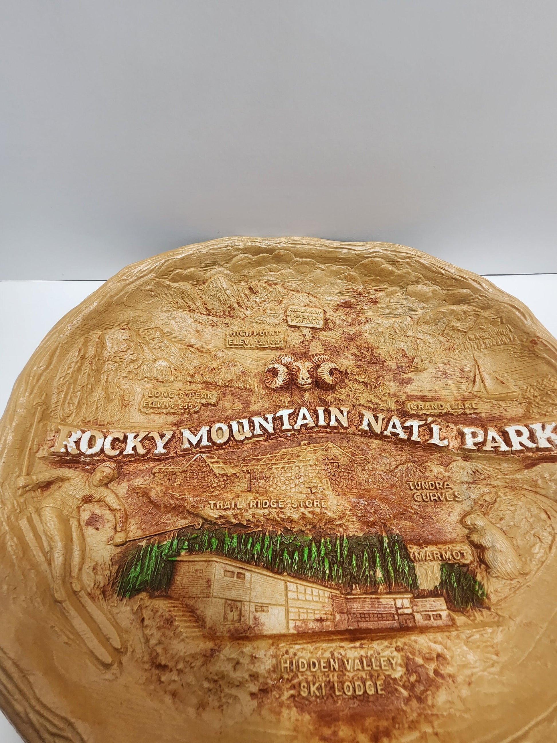 Rocky Mountains Souvenir Bowl - Colorado Souvenir - Rocky Mountains - The Rockys - Fruit Bowl - Decorative Bowl - Traveling - Souvenir