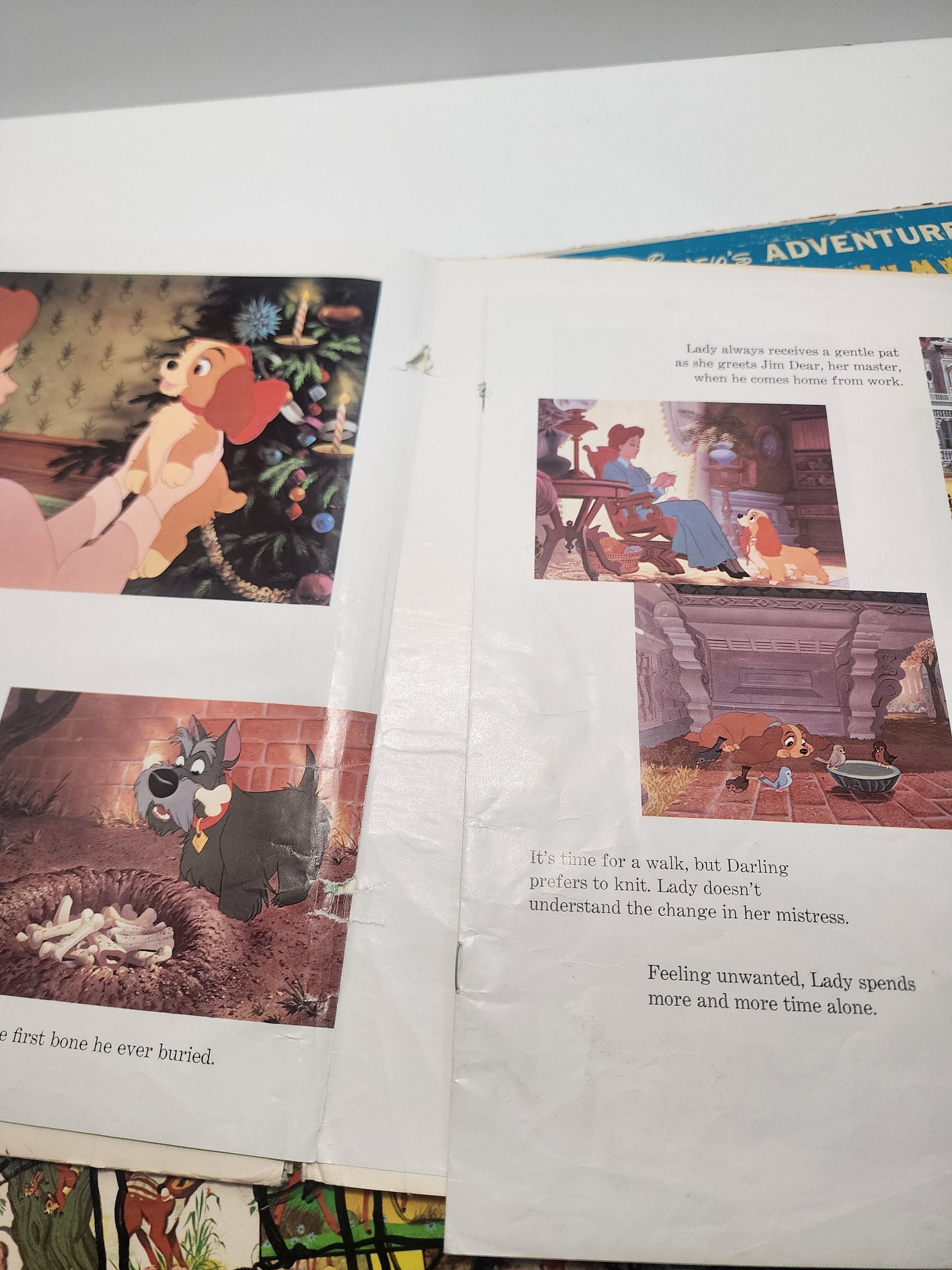 Walt Disney 1969 Vinyl Record Storybooks - Bambi - Lady and The Tramp - Disney - Walt Disney - Books - Records - Vinyl - Vintage Disney