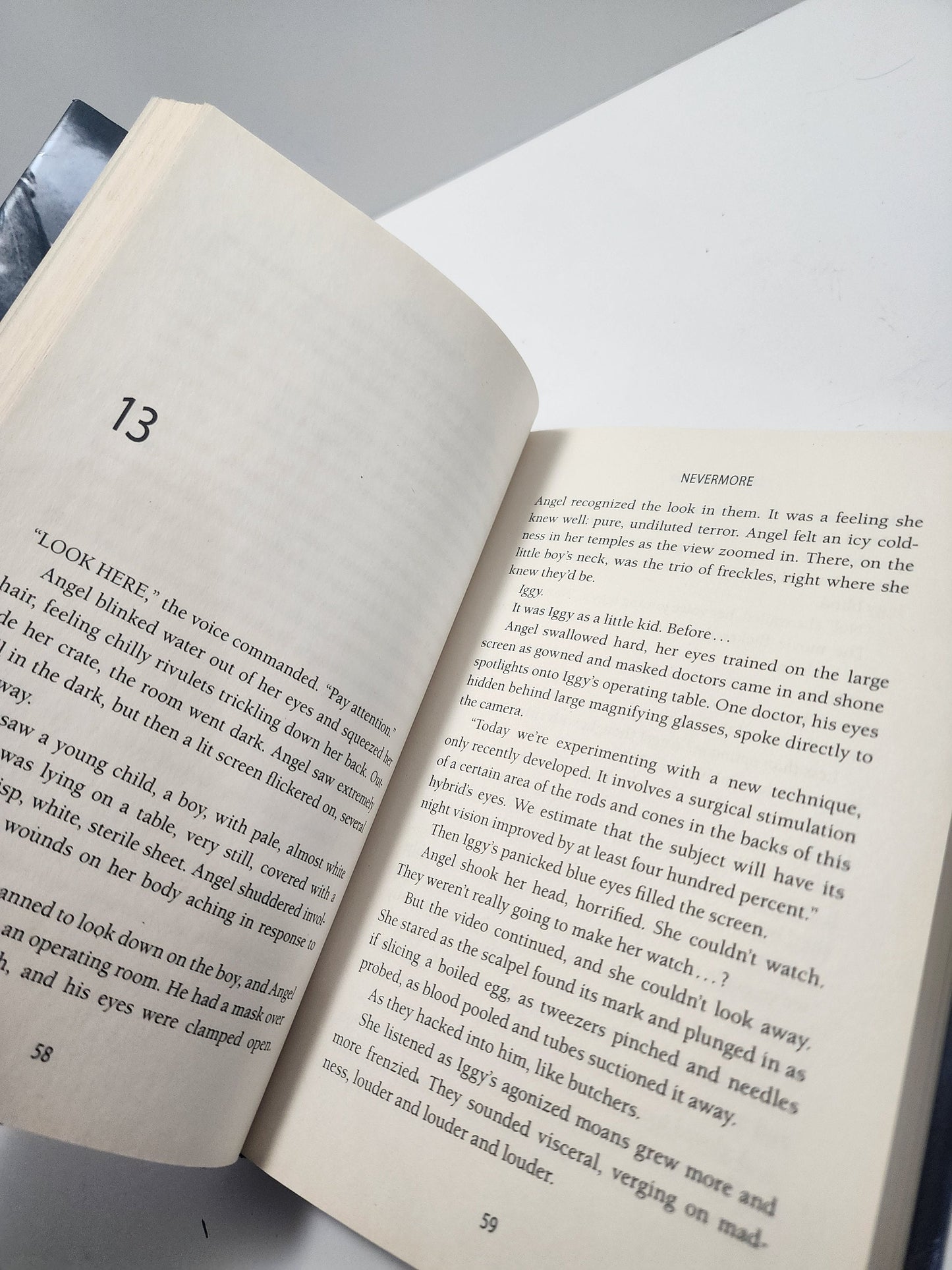 James Patterson Maximum Ride Never More - Nevermore - Maximum Ride - James Patterson - James Patterson Books - Books - Book Series