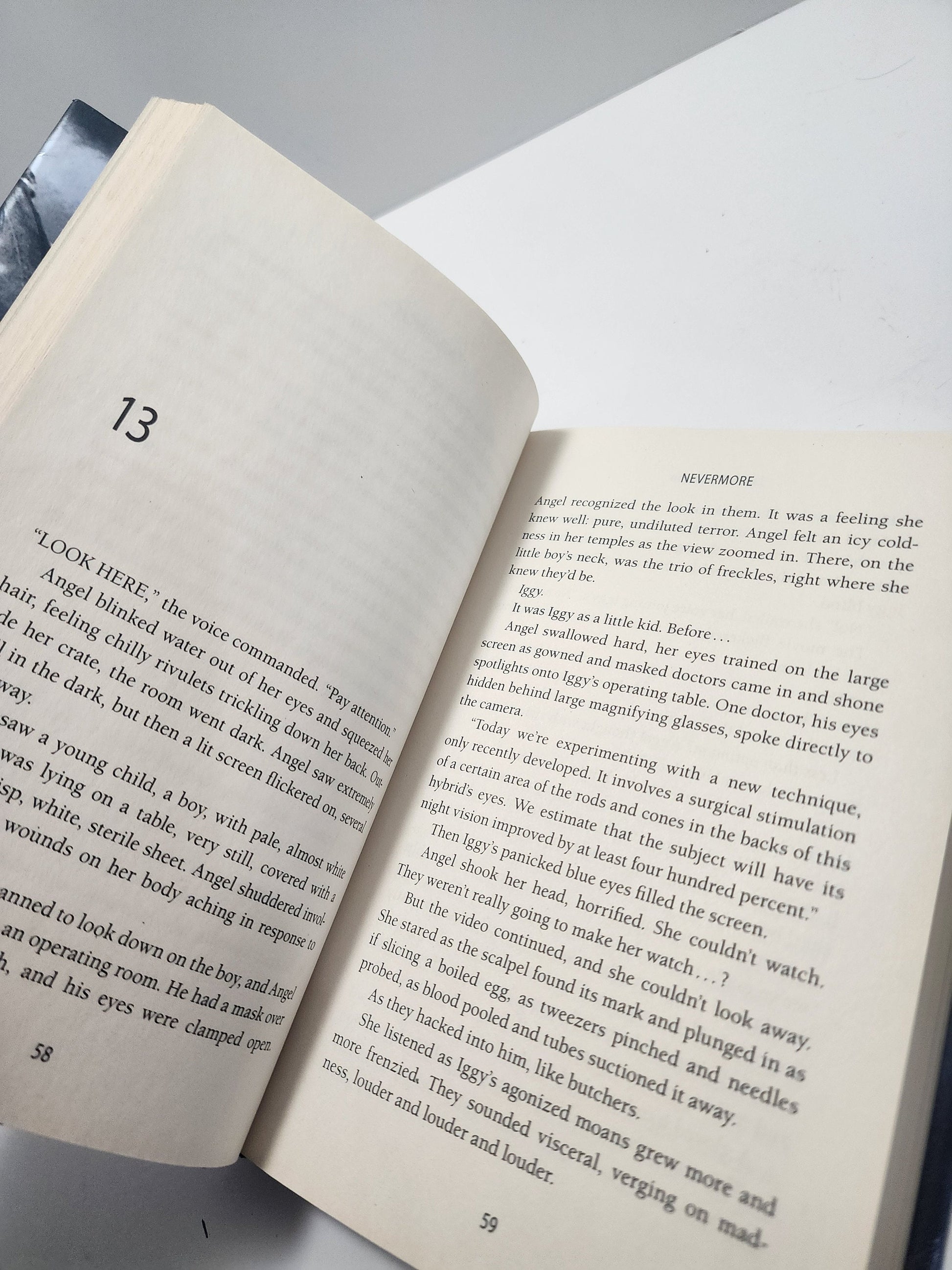 James Patterson Maximum Ride Never More - Nevermore - Maximum Ride - James Patterson - James Patterson Books - Books - Book Series