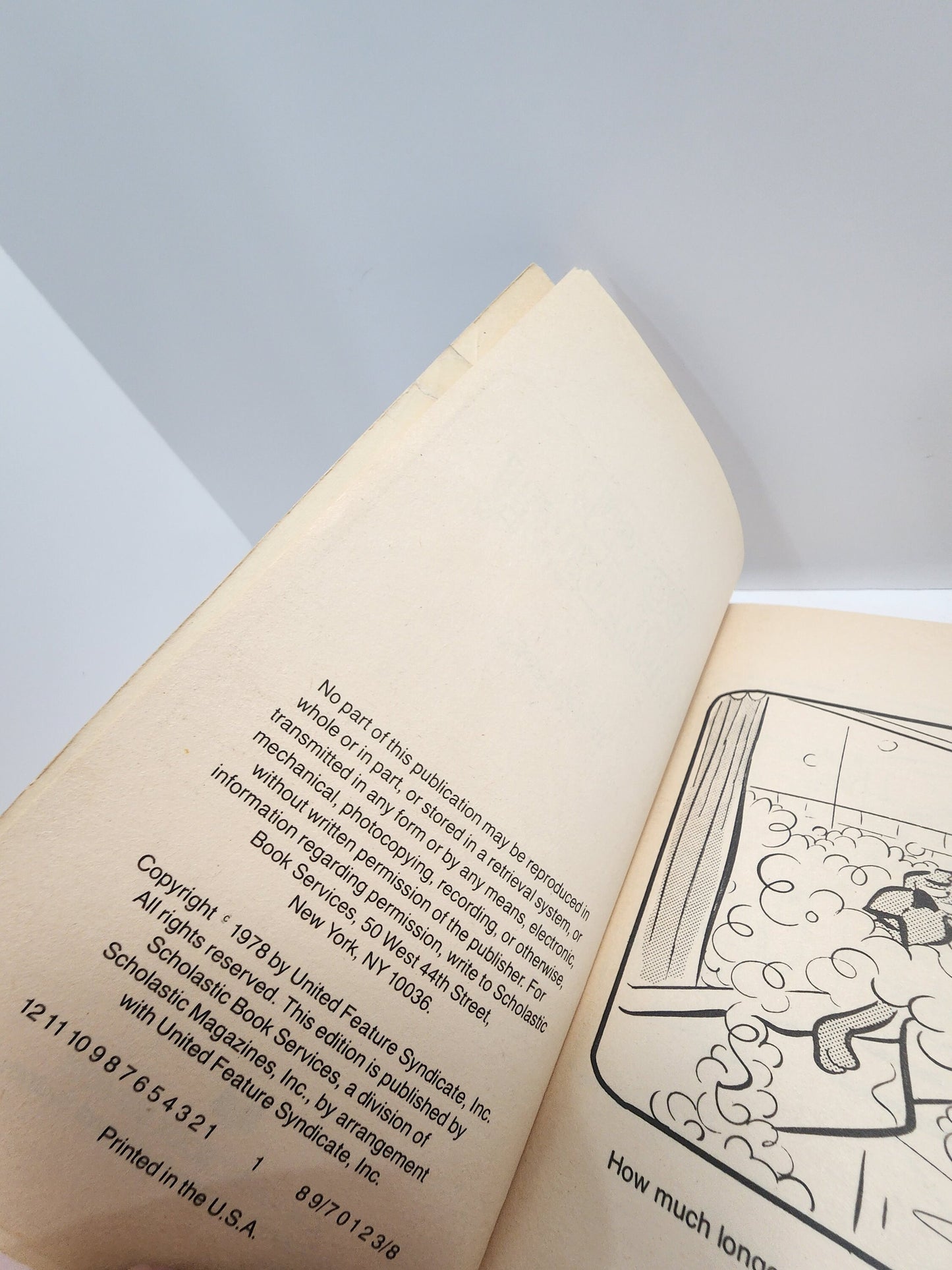 Down MarmaDuke By Brad Andersen - Vintage Books - Brad Andersen - Down Marmaduke - Books