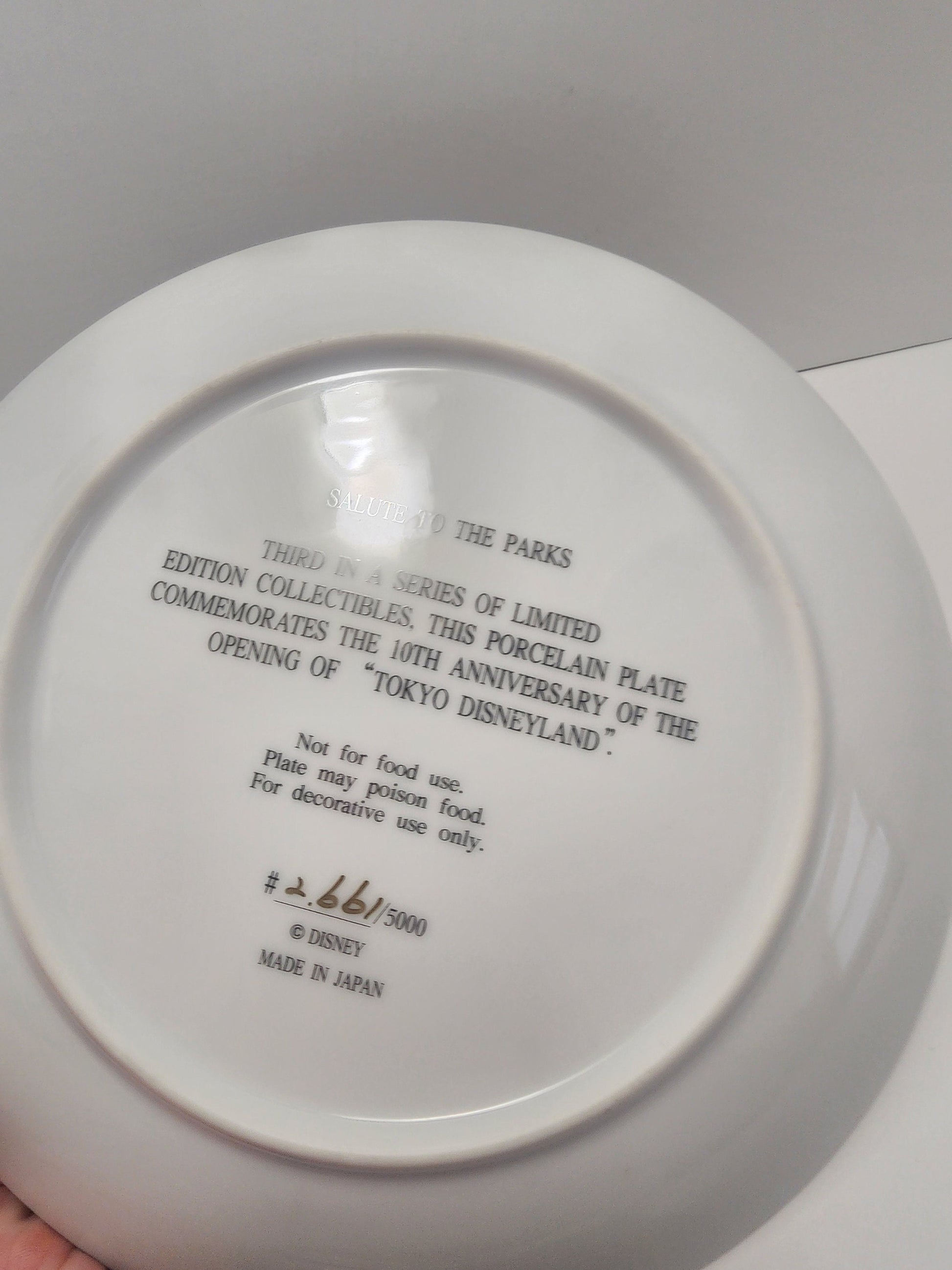 Disney Mickey Mouse Fantasia Tokyo Decorative Plate 10th Anniversary - Disney - Disney Plates - Fantasia - Fantasia Plate - Decorative Plate