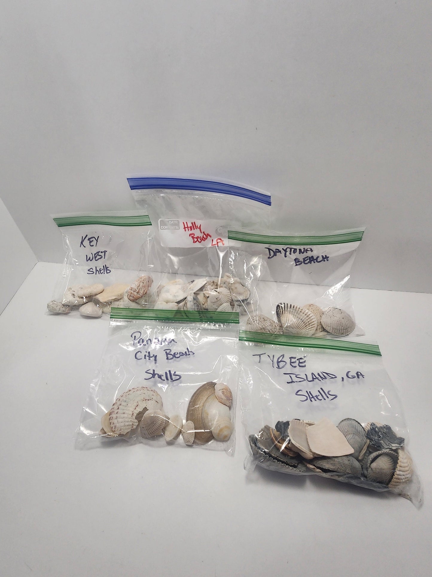 Seashells From Beaches Across The United States - Beaches - Beach House - Beach Decor - Shells - Sea Shells - Seashells