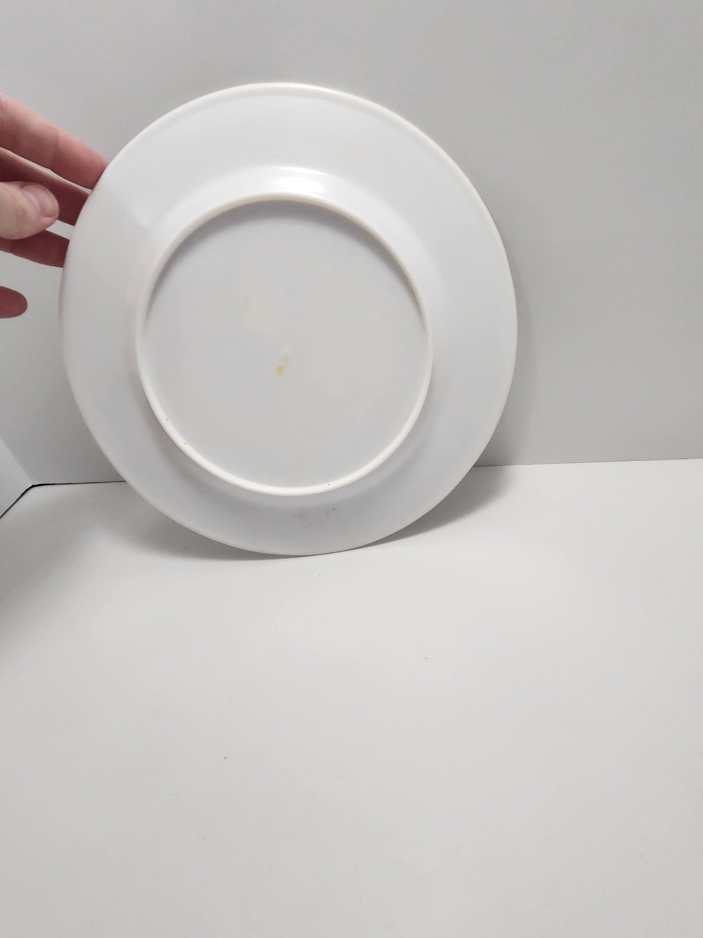 South Dakota Vintage Souvenir Plate - Mt Rushmore - Badlands - Souvenirs - Plates - Traveling Decor