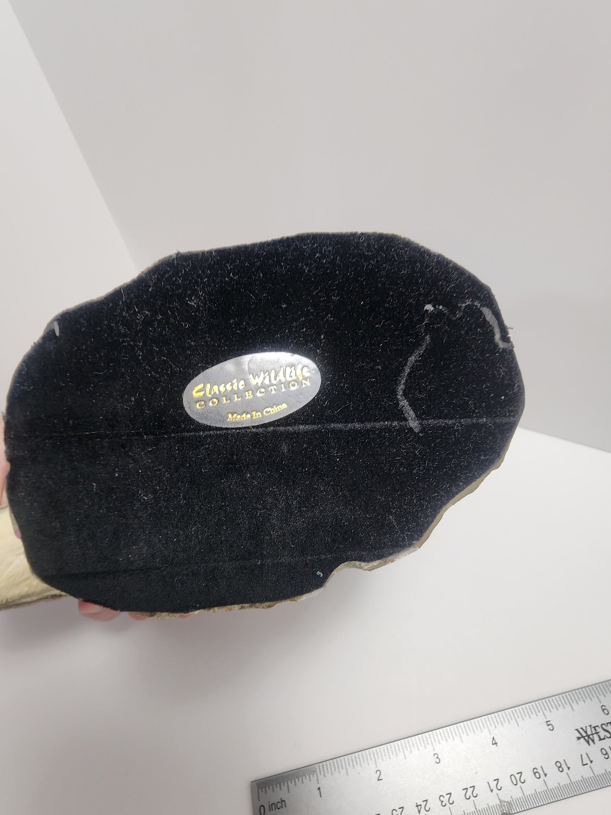 Wolf Decorative Classic Wildlife Wonders Of Wolves - Wolves - Animal Decor - Wildlife Decor - Wolves