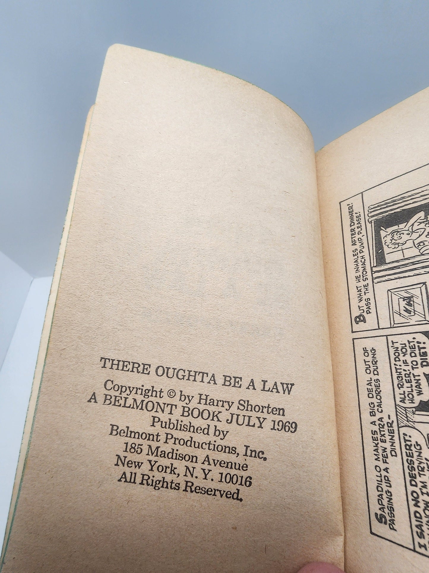 There Oughta Be A Law By Harry Shorten Cartoon Series Book - Books - Cartoons - Harry Shorten - There Oughta Be A Law