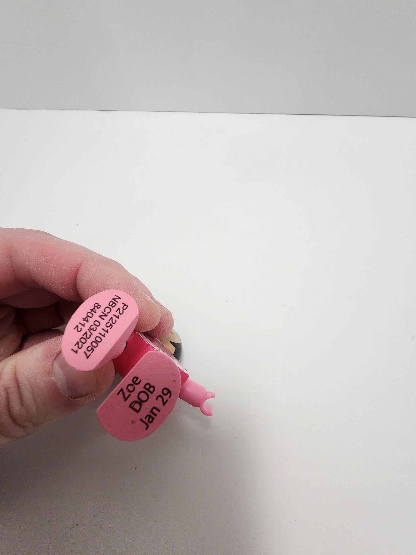 J'adore Nature Wood Princess Zoe Jan 29th - Nature Wood Princess - Dolls - Princess - Zoey