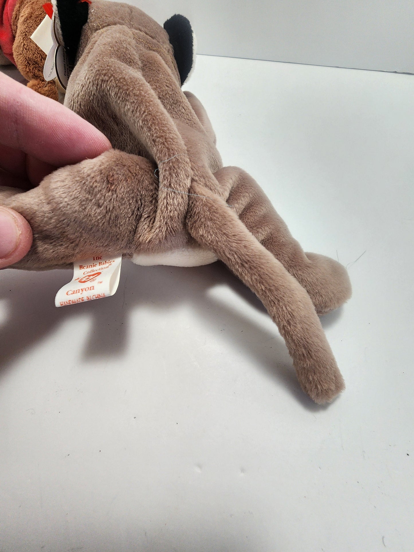 TY Beanie Babies Canyon The Cougar - Alvin And The Chipmunks - Chipmunks - Beanie Babies - Cougan - TY - Stuffed Animals