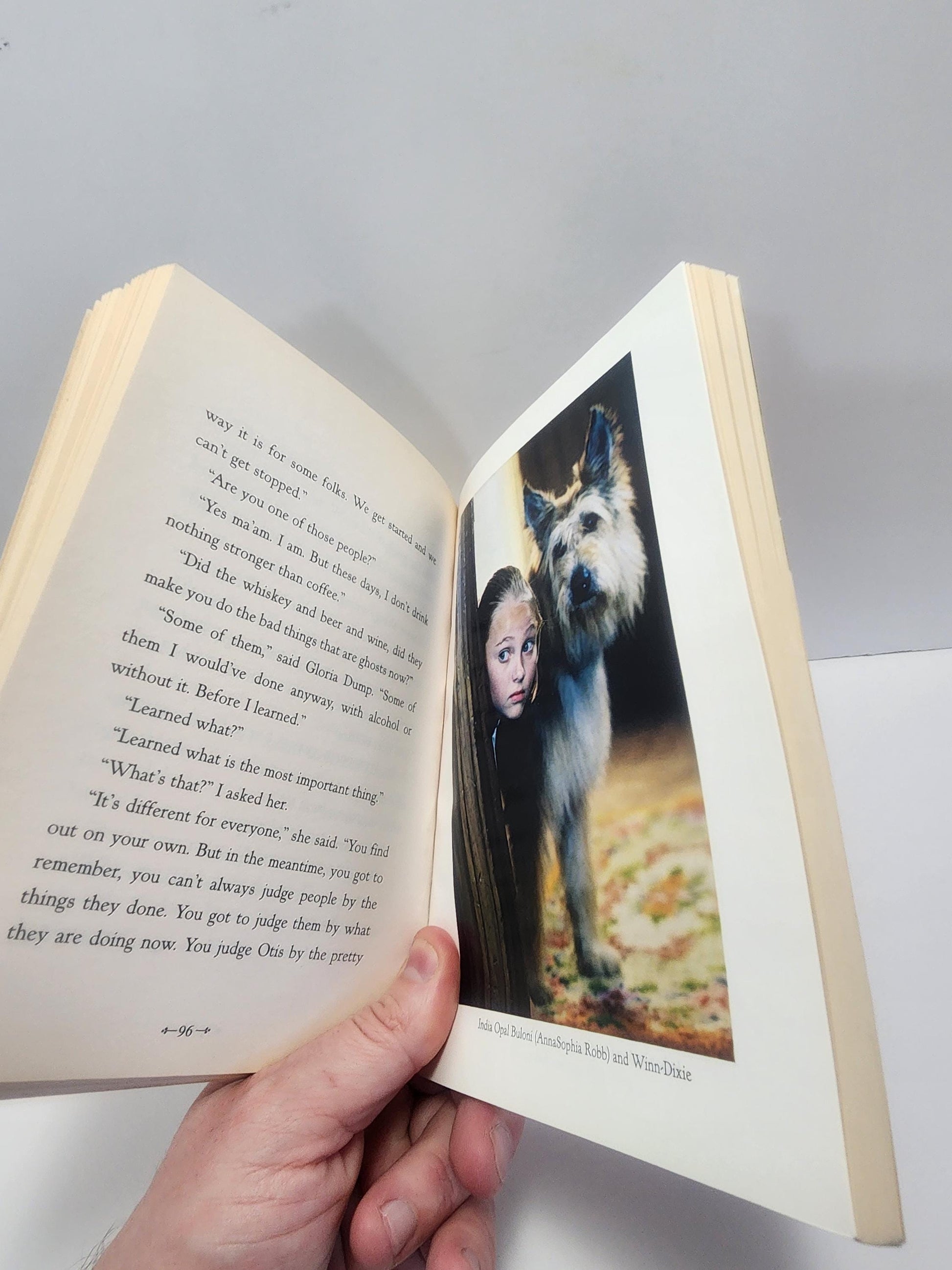 2005 Because Of Winn Dixie By Kate Dicamello - Vintage Books - 2000s Books - Winn Dixie - Because Of Winn Dixie - Kate Dicamello