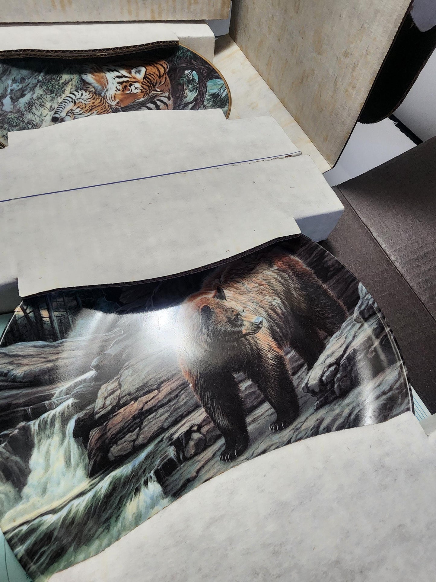 Collectable Animal Wildlife Plates - Cinnamon Bear - Bears - Siberian Tiger - Tigers - Wildlife - Wildlife Decor - Plates