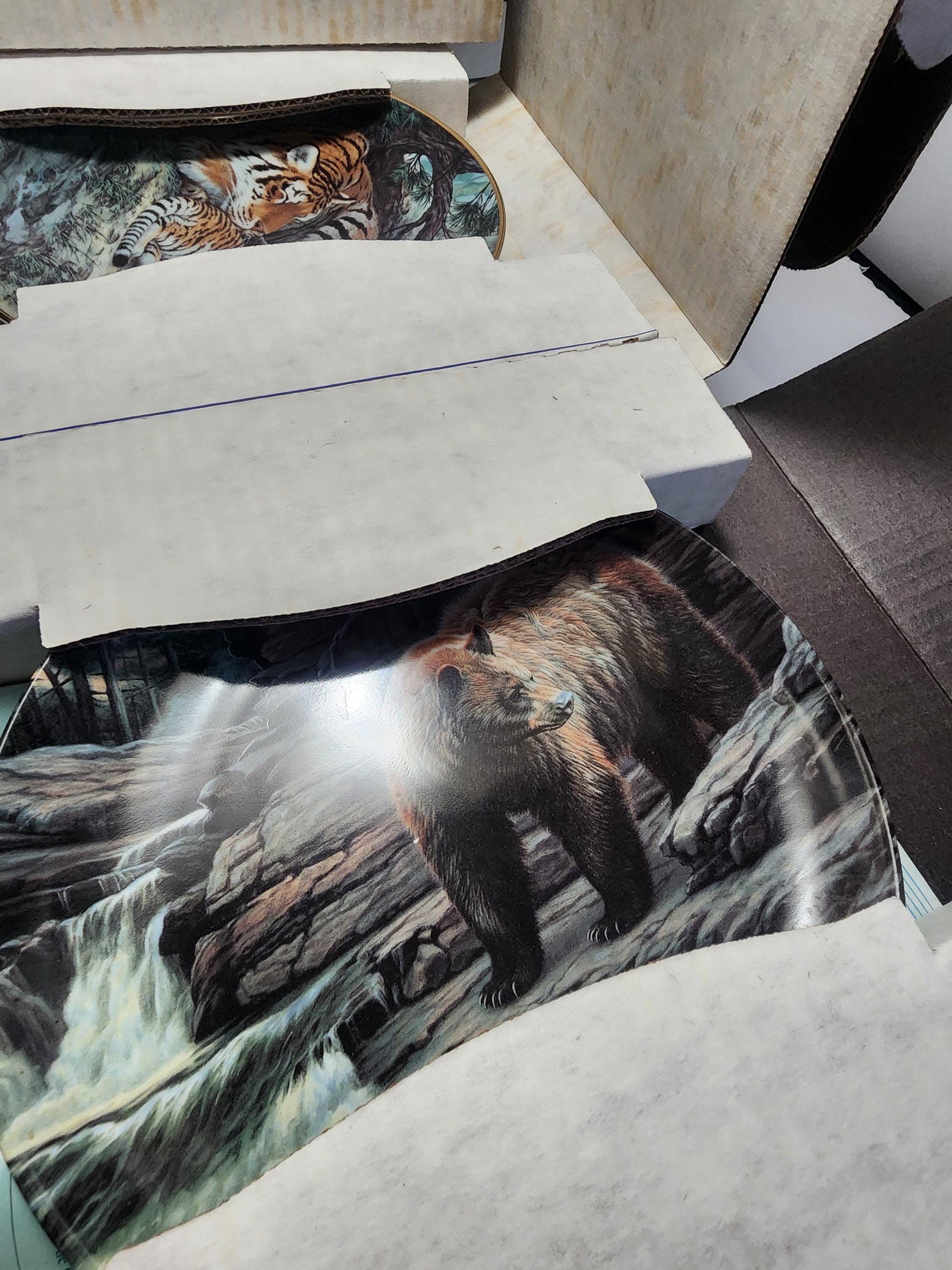 Collectable Animal Wildlife Plates - Cinnamon Bear - Bears - Siberian Tiger - Tigers - Wildlife - Wildlife Decor - Plates