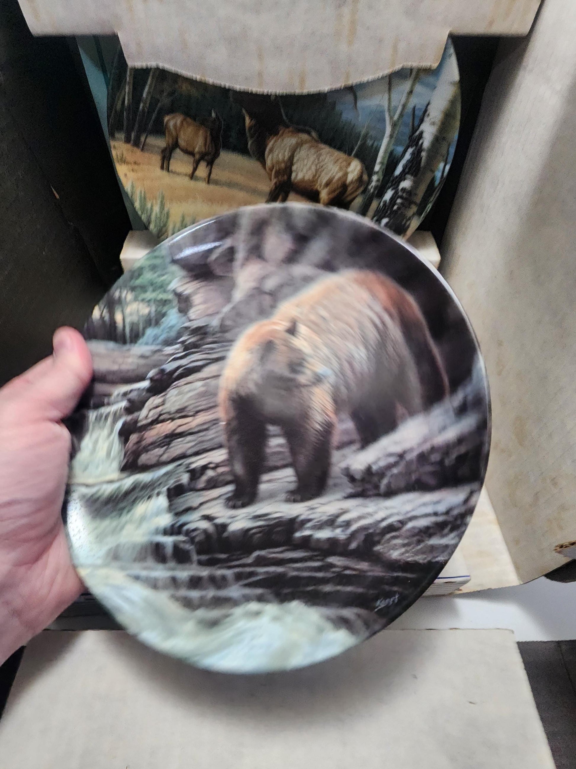 Collectable Animal Wildlife Plates - Cinnamon Bear - Bears - Siberian Tiger - Tigers - Wildlife - Wildlife Decor - Plates