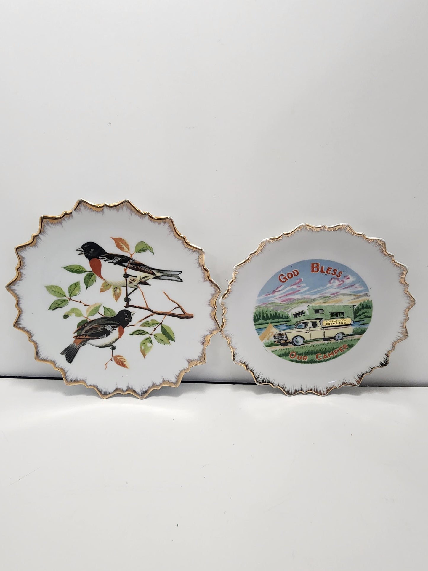 Decorative Plates - Birds - Bird Plates - Camper - Rv - Camper Decor - Camper Life - Plates - Vintage Plates - Hanging Plates