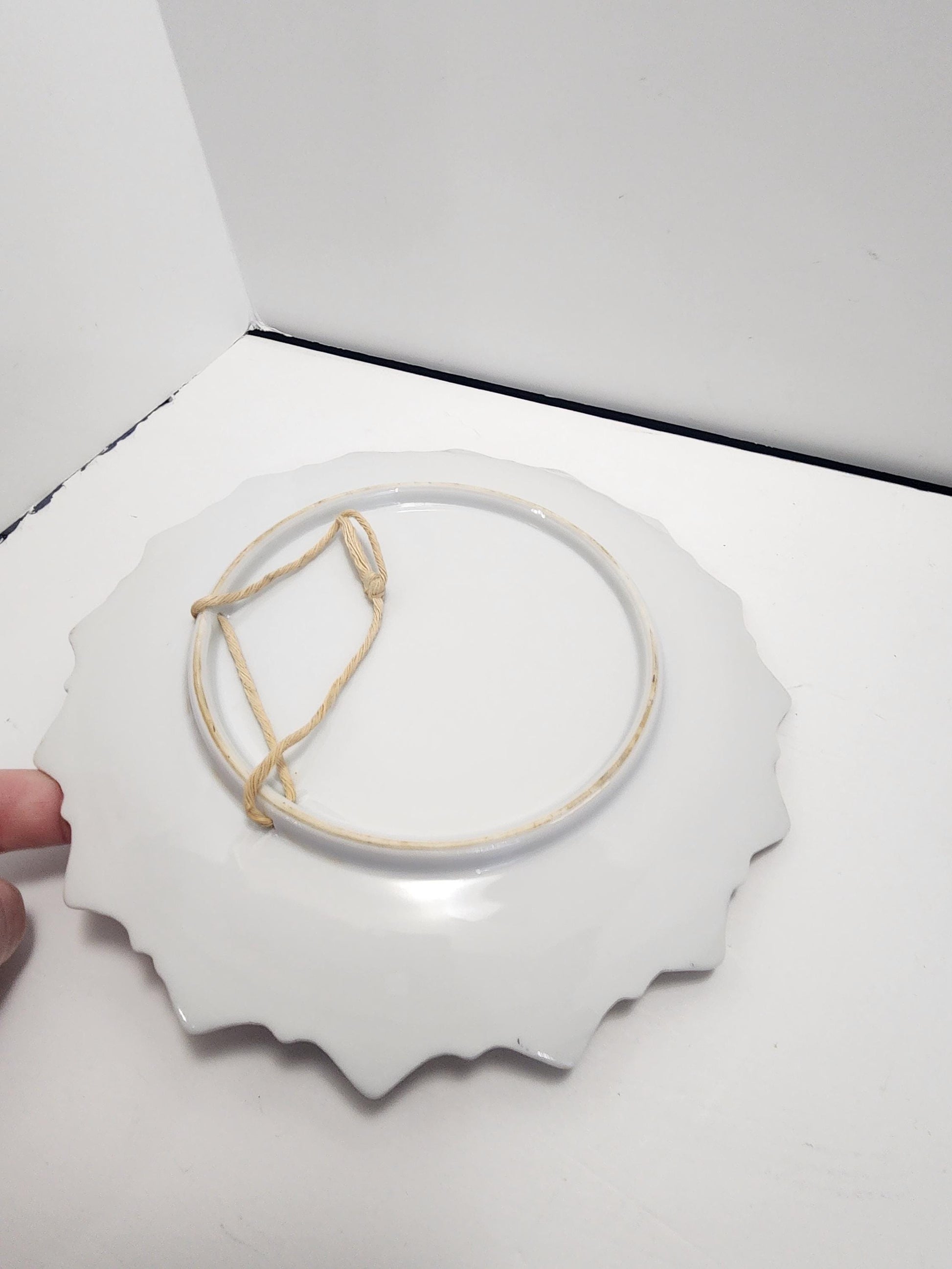 Decorative Plates - Birds - Bird Plates - Camper - Rv - Camper Decor - Camper Life - Plates - Vintage Plates - Hanging Plates