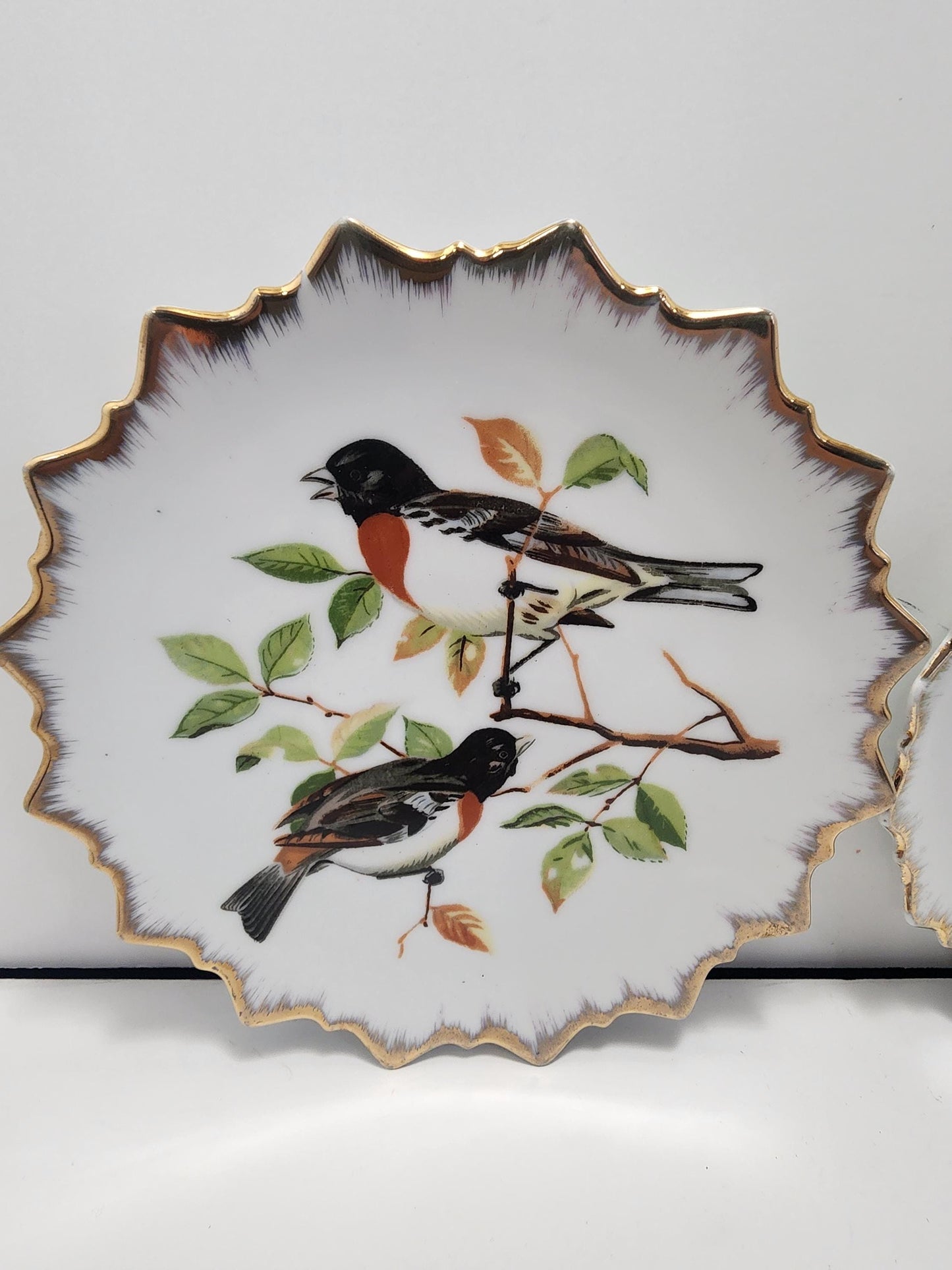 Decorative Plates - Birds - Bird Plates - Camper - Rv - Camper Decor - Camper Life - Plates - Vintage Plates - Hanging Plates