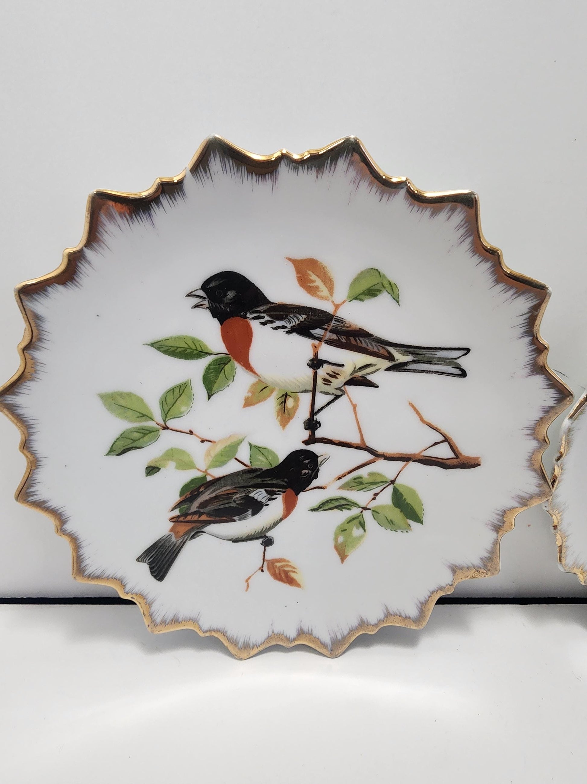 Decorative Plates - Birds - Bird Plates - Camper - Rv - Camper Decor - Camper Life - Plates - Vintage Plates - Hanging Plates