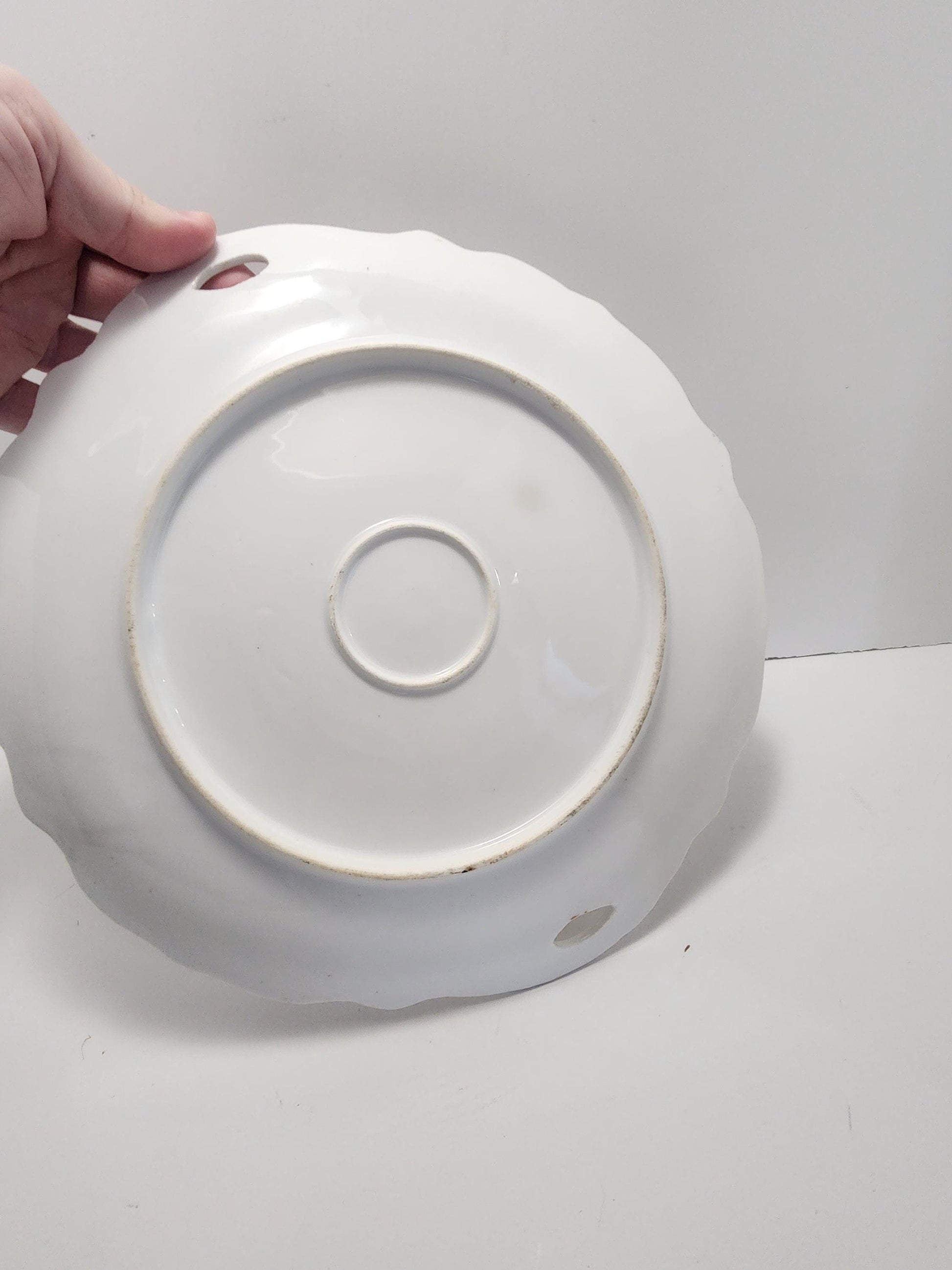 Floral Design Vintage Porcelain Plate - Plates - Antiques - Antiques Plates - Vintage Plates - Flower Decor - Floral Plates - Floral Decor