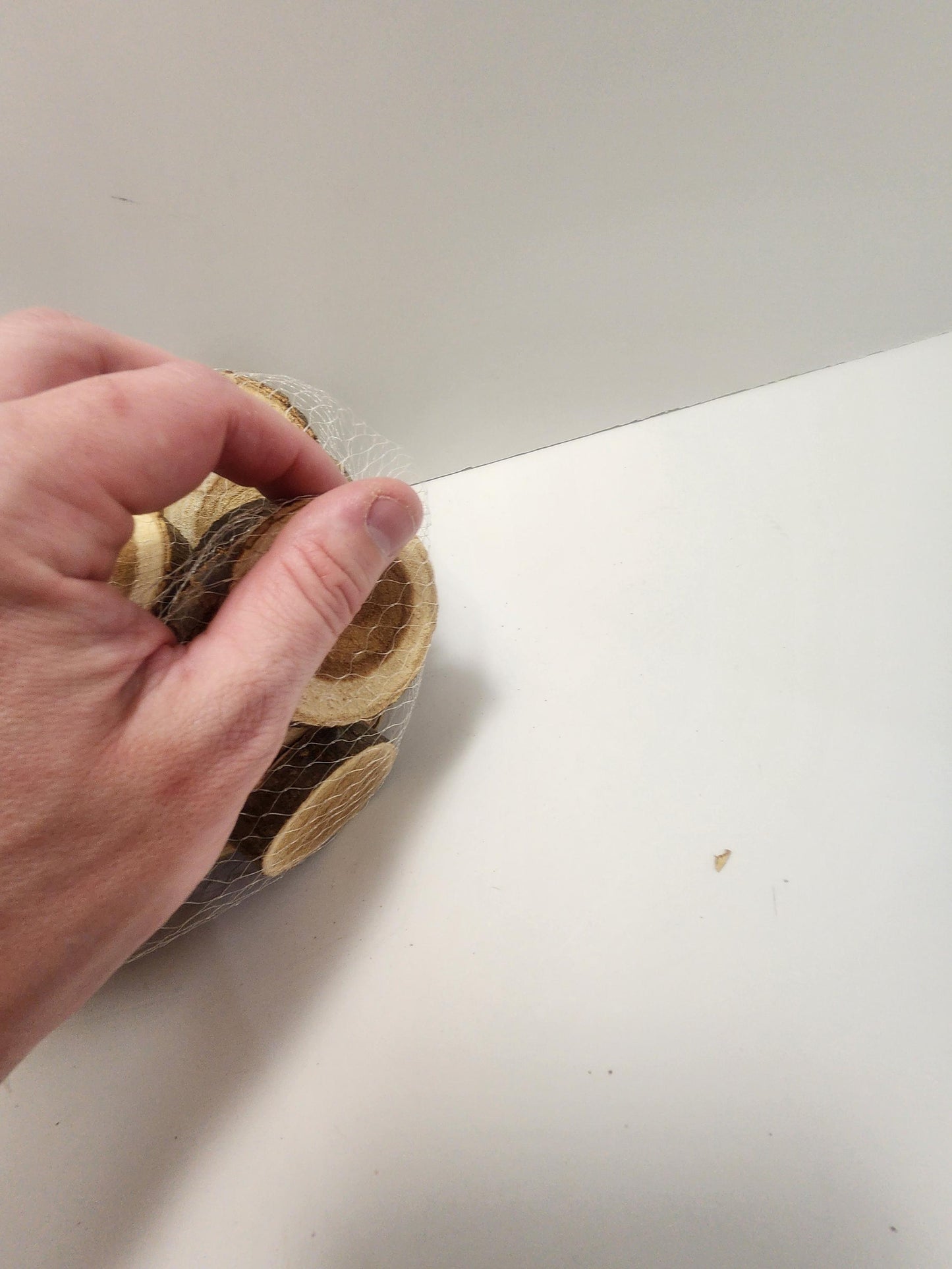 Wood Coasters Lot - Coasters - Wood - Wood Coasters - Trees - Wood Decor - Log Cabin - Decor - Wildlife - Wildlife Decor