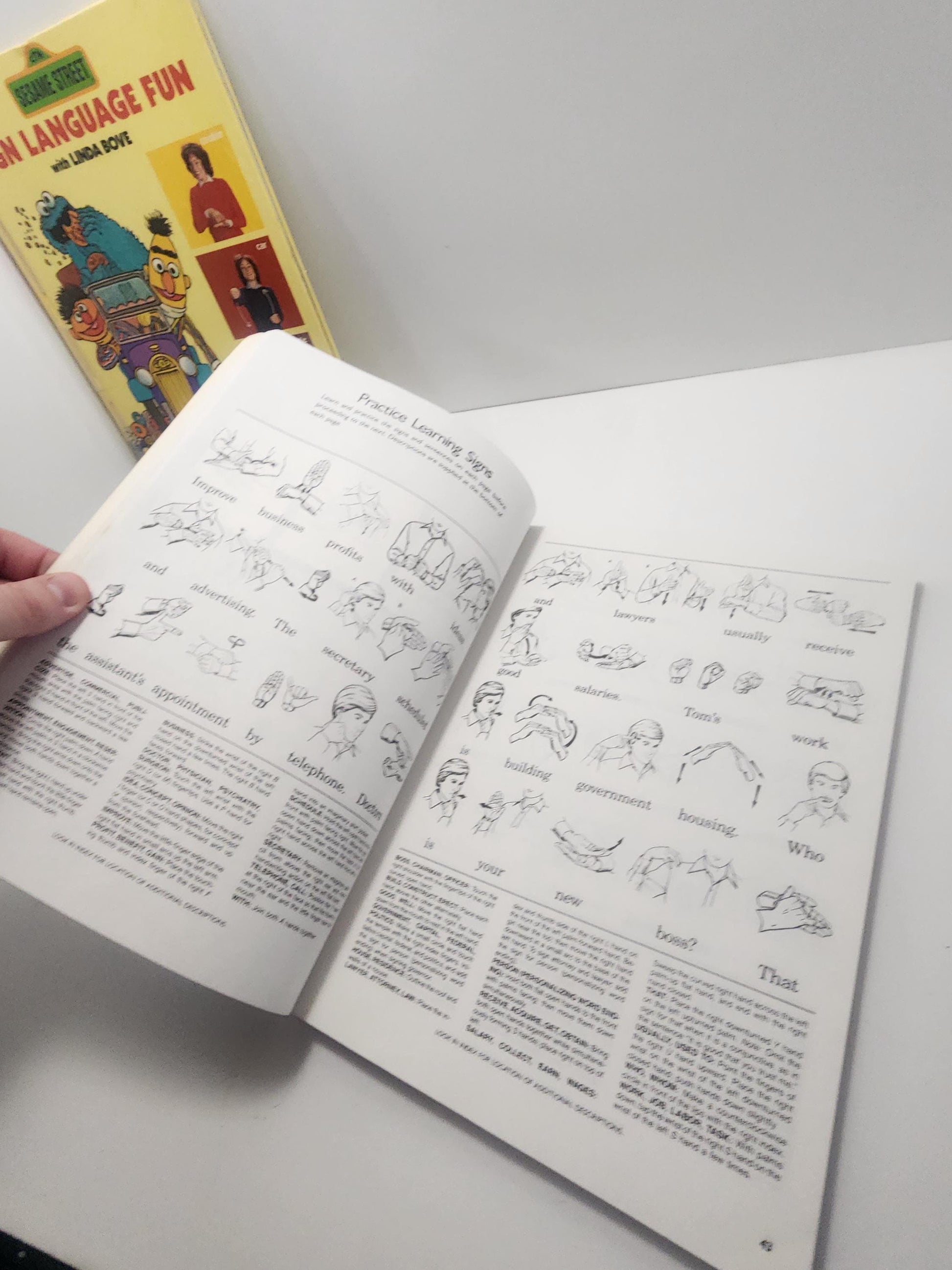 Sign Language Books - Sesame Street - Educational Books - Sign Language - Kids Books - Learning - School - Educational - Educational Gifts