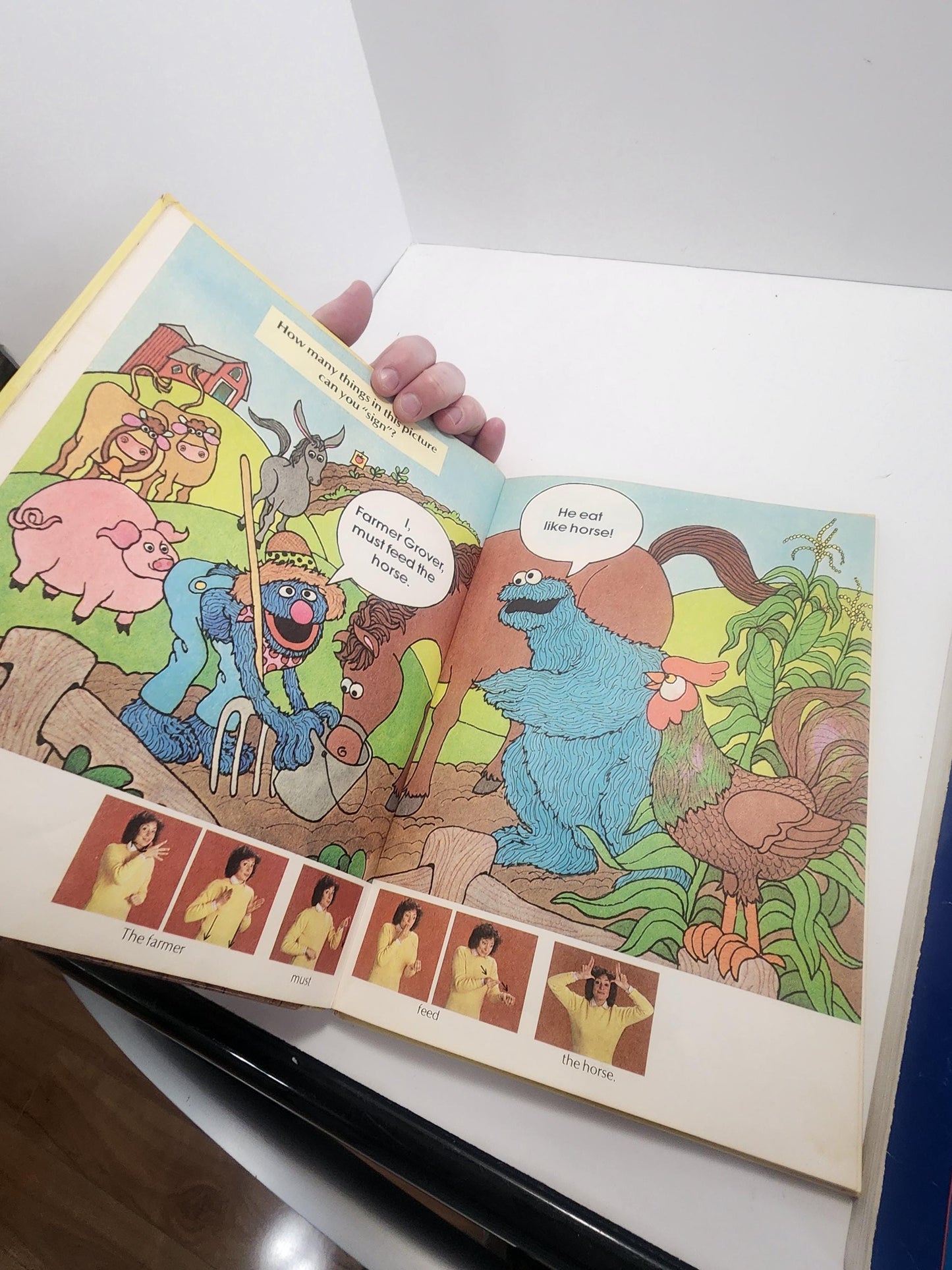 Sign Language Books - Sesame Street - Educational Books - Sign Language - Kids Books - Learning - School - Educational - Educational Gifts