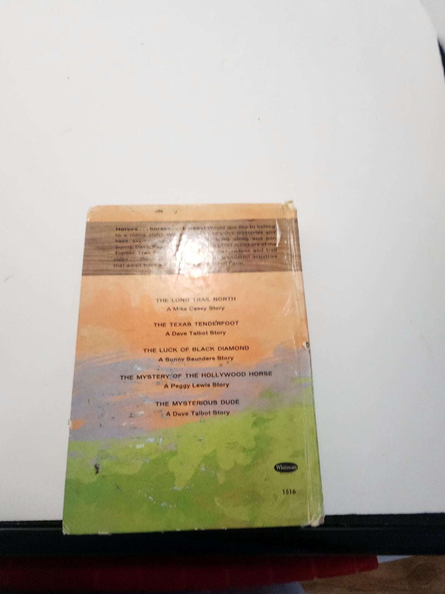 Timber Trail Riders: The Mystery of the Hollywood Horse - Books - Vintage Books - Timber Trail Riders - Hollywood Horse