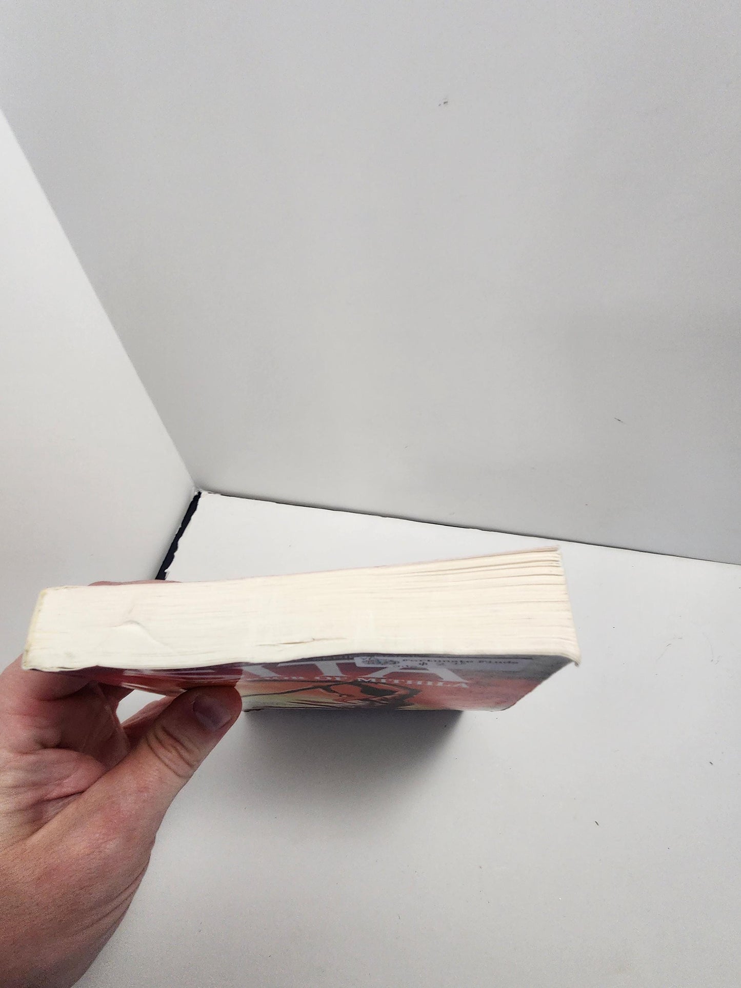 Sita: Warrior of Mithila By Amish - Amish - Amish Author - Amish Books - Sita Warrior Of Mithila - Warrior Of Mithila