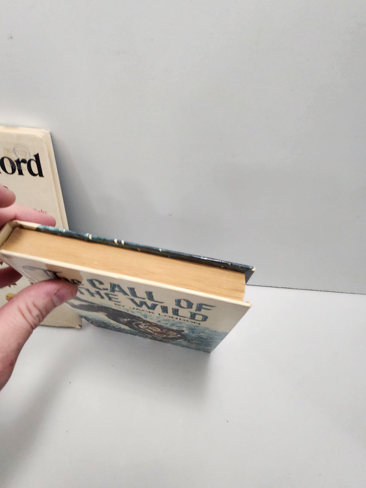 Call Of The Wild 1960 By Jack London - Books - Banned Books - Jack London - 1960s - Vintage Books - Call Of The Wild - Antiques - Rare Books