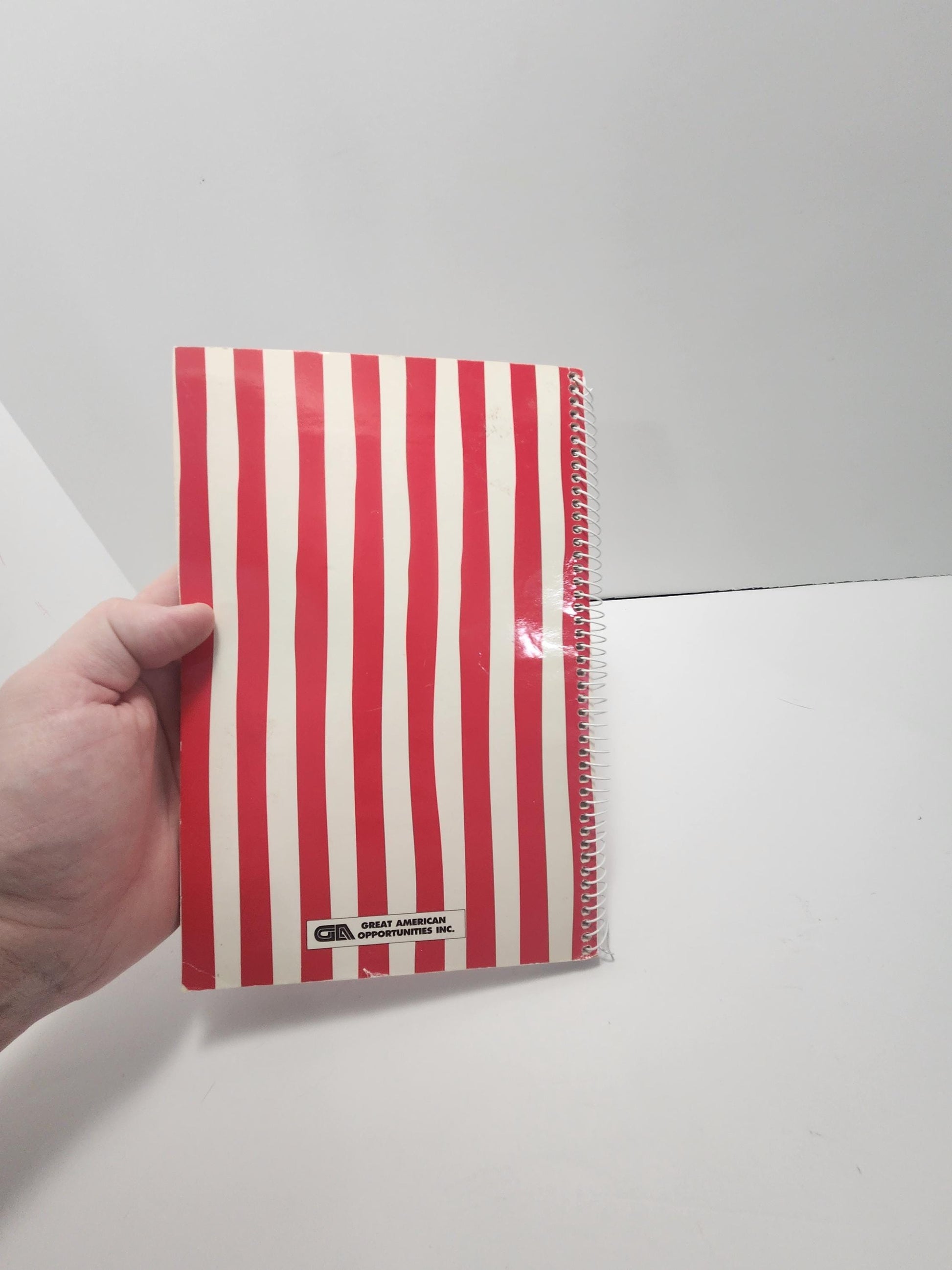 Great American Snack Attack Vintage Cookbook - Recipes - Snacks - Great American - Snack Recipes - Cookbook