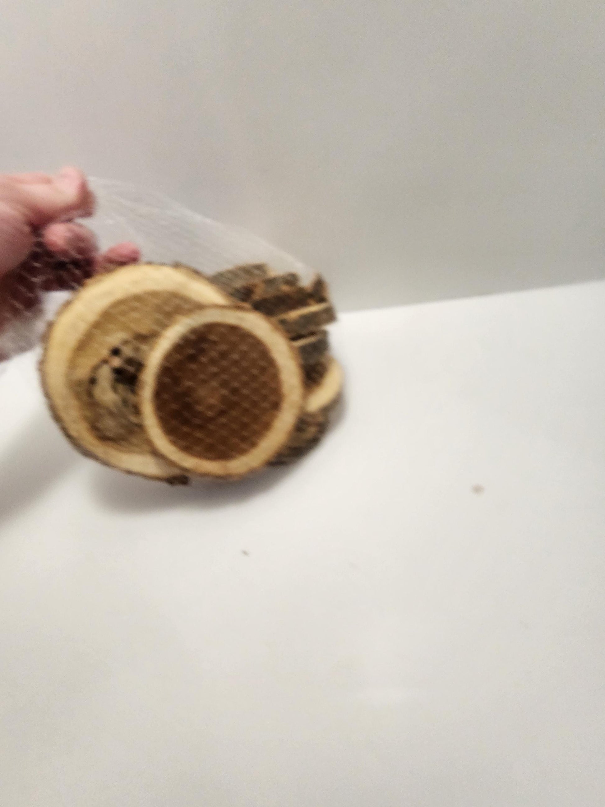 Wood Coasters Lot - Coasters - Wood - Wood Coasters - Trees - Wood Decor - Log Cabin - Decor - Wildlife - Wildlife Decor