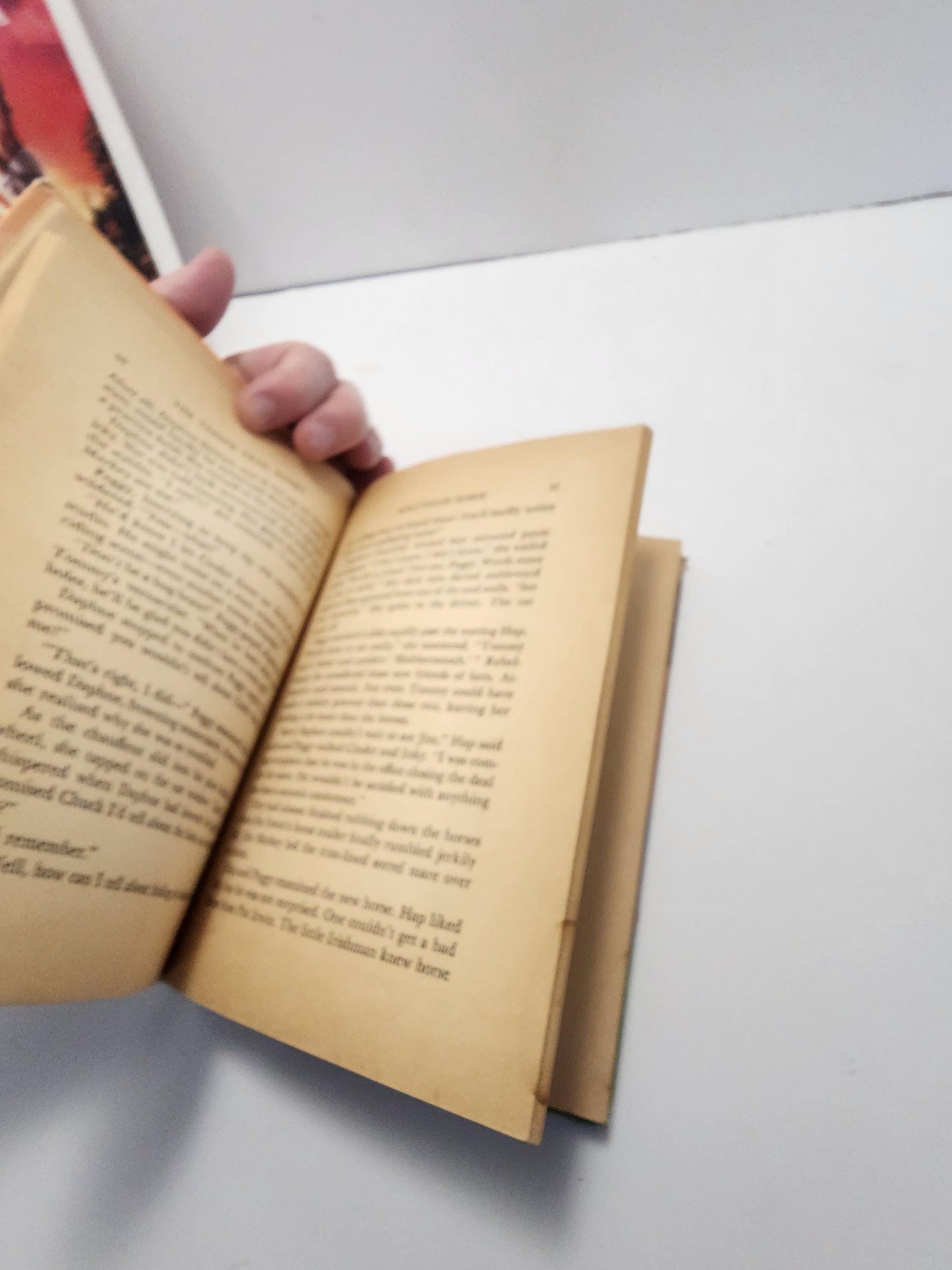 Timber Trail Riders: The Mystery of the Hollywood Horse - Books - Vintage Books - Timber Trail Riders - Hollywood Horse