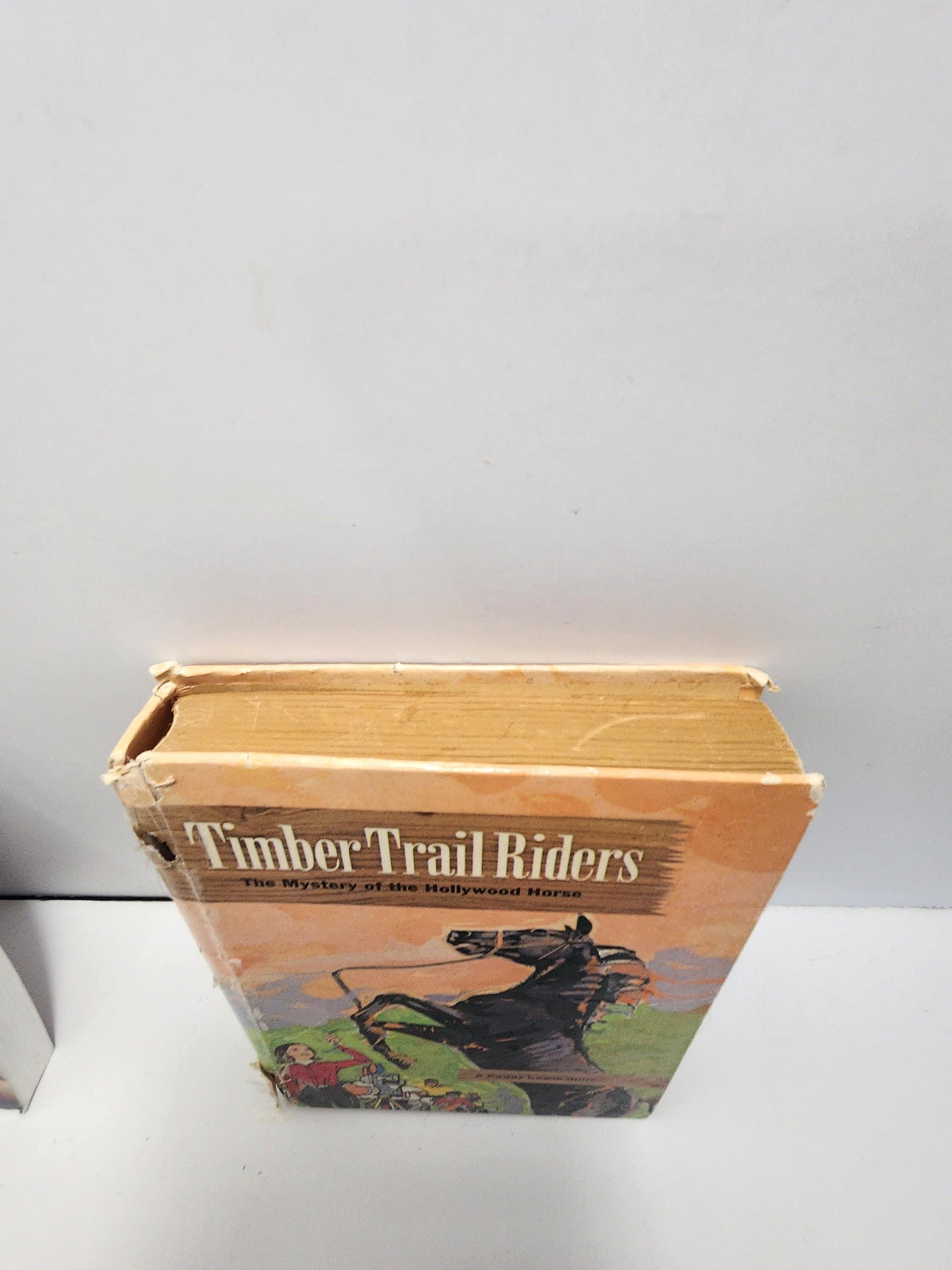 Timber Trail Riders: The Mystery of the Hollywood Horse - Books - Vintage Books - Timber Trail Riders - Hollywood Horse