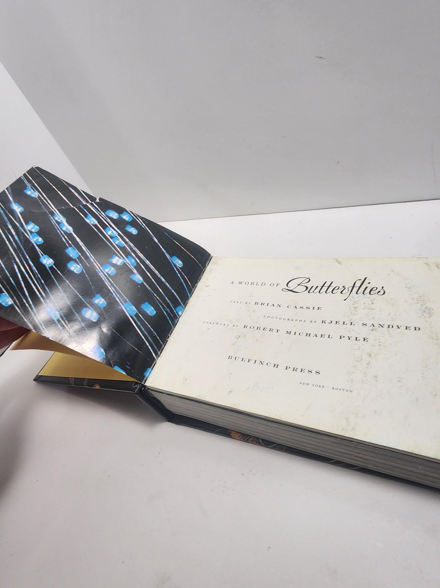 2004 Vintage The World Of Butterflies Book - Books - Animals - Animal Books - Insects - Butterfly - Butterflies - Butterfly Gift