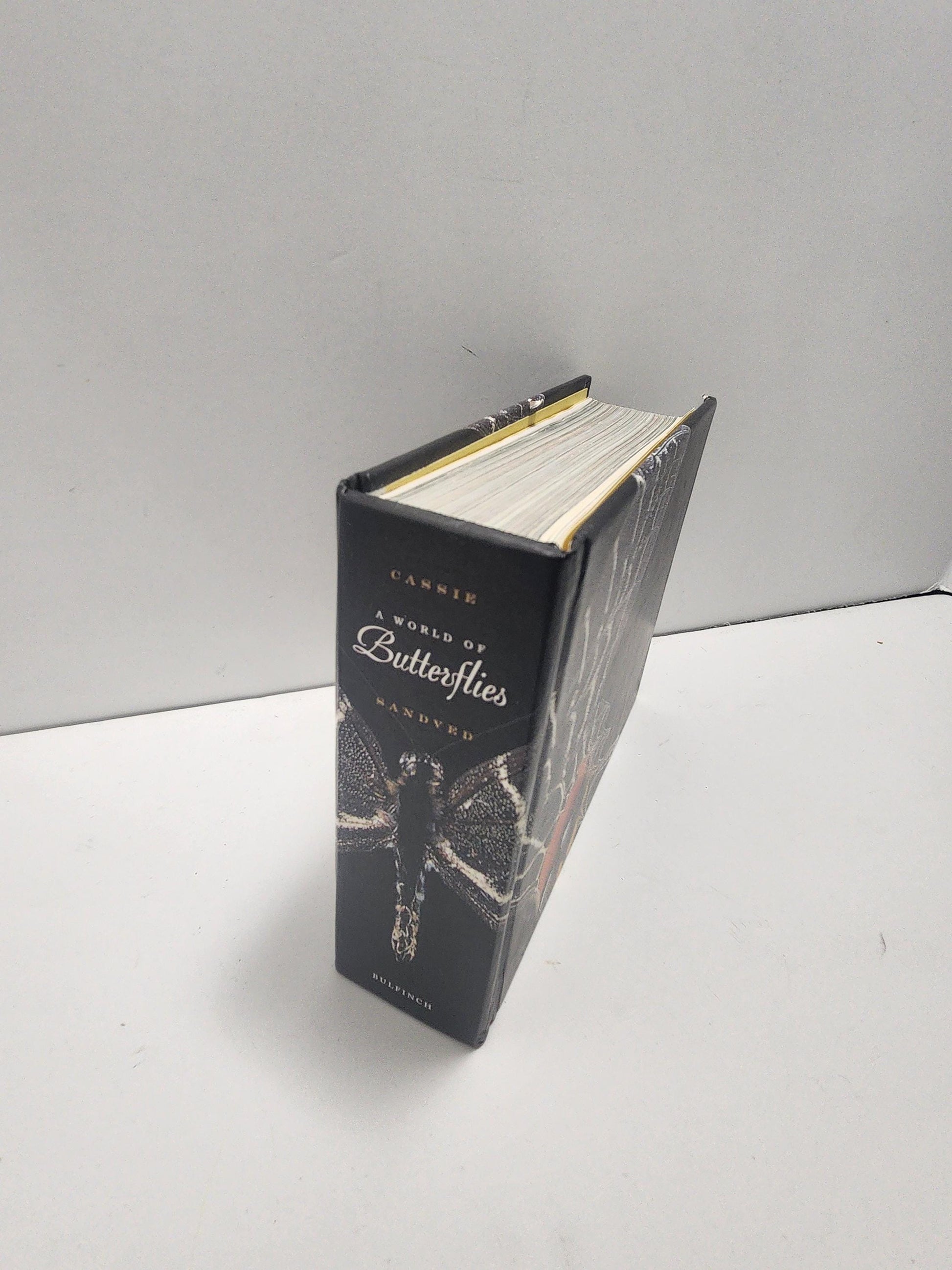 2004 Vintage The World Of Butterflies Book - Books - Animals - Animal Books - Insects - Butterfly - Butterflies - Butterfly Gift