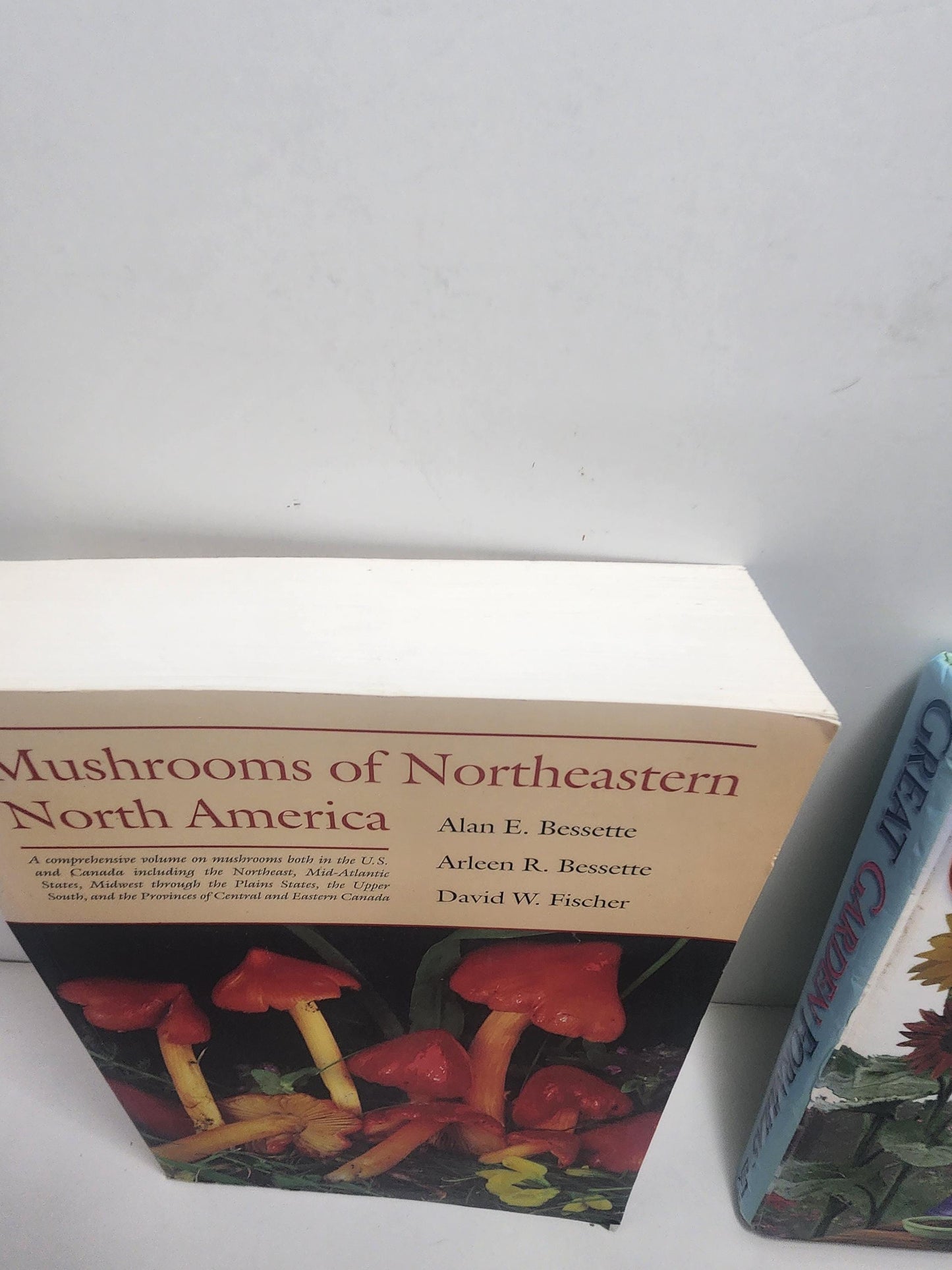 1990s Garden & Mushrooms Vintage Books - Mushrooms Of North America - Great Garden Formulas - Garden - Gardening - Gift For Gardener