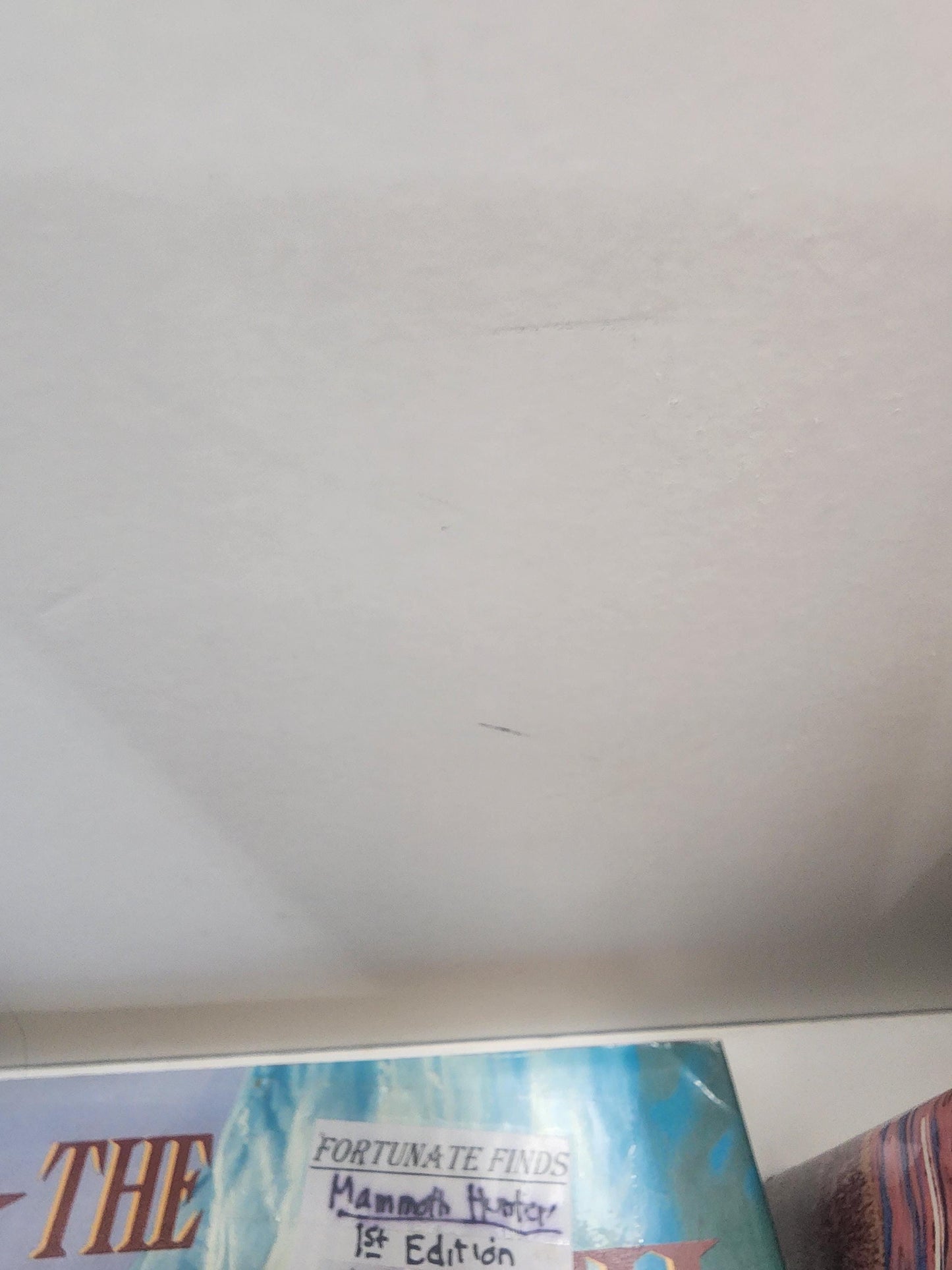 Jean Auel Books Series - 1st Edition Books - Jean Auel - Fantasy Books - Book Series - Vintage Books - The Mammoth Hunter