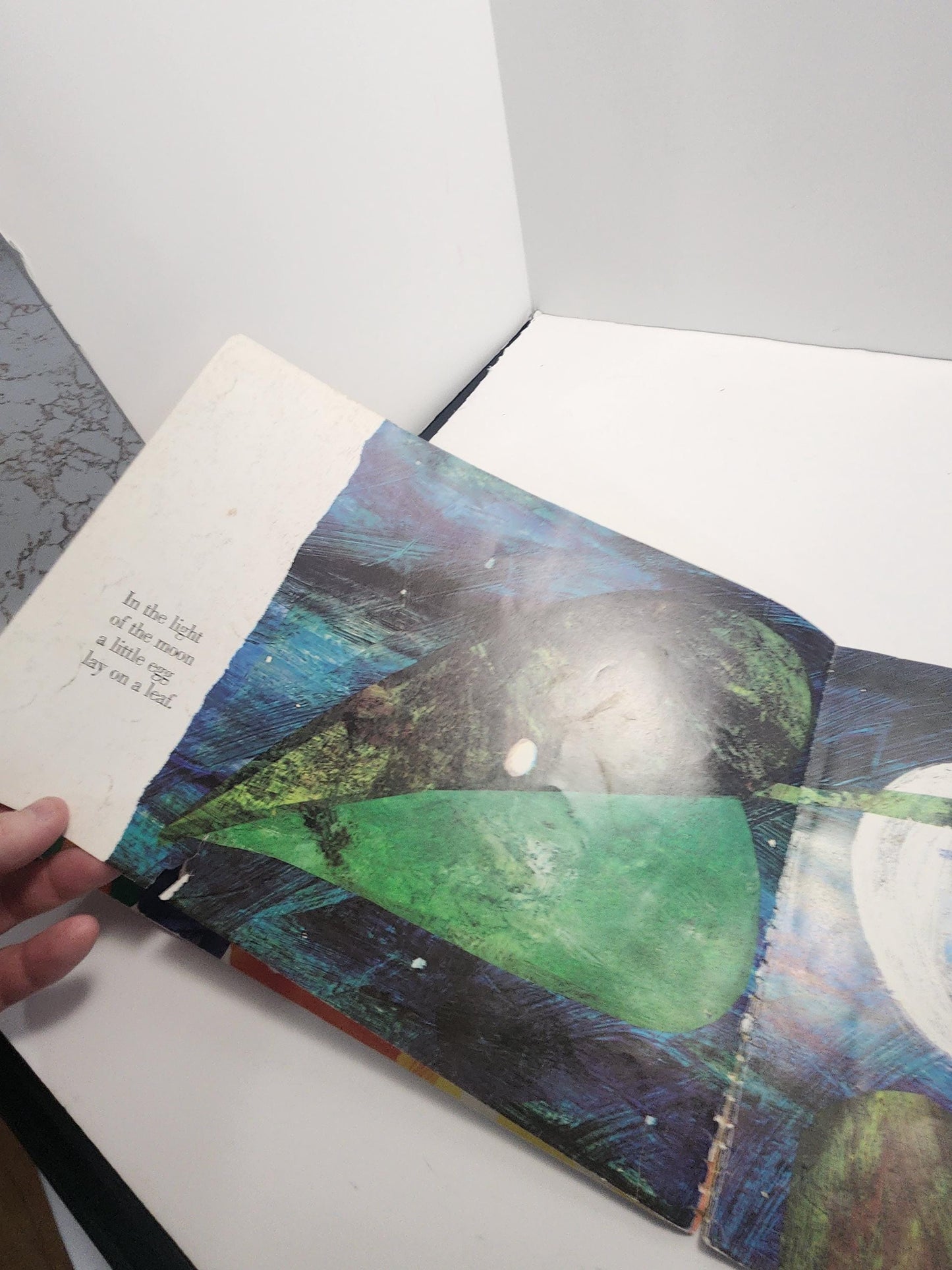 Eric Carle Vintage Books Lot of 2 - The Hungry Caterpillar - Roosters Off To See The World - Eric Carle - Children's Books - Vintage Books