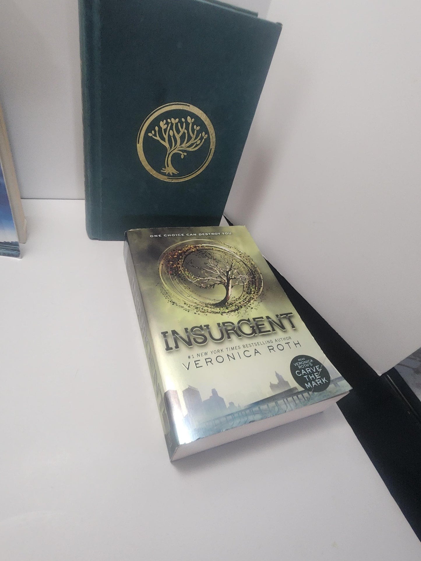 Divergent Veronica Ross 3 Book Series - Books - Book Series - Series - Veronica Ross - Divergent - Divergent Books - Vintage Books