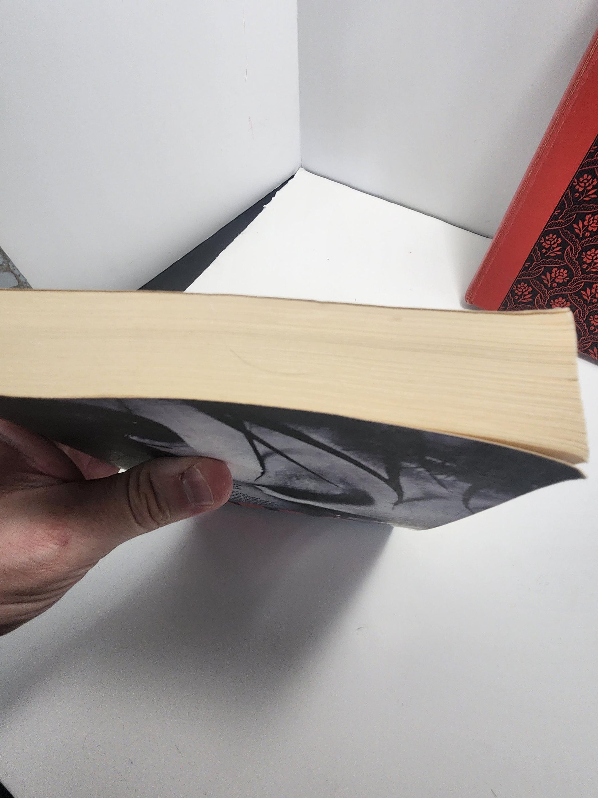 1996 Smack By Melvin Burgess - Smack - Smack Book - Vintage Books - 1990s - 1990s Books - Melvin Burgess - Melvin Burgess Books