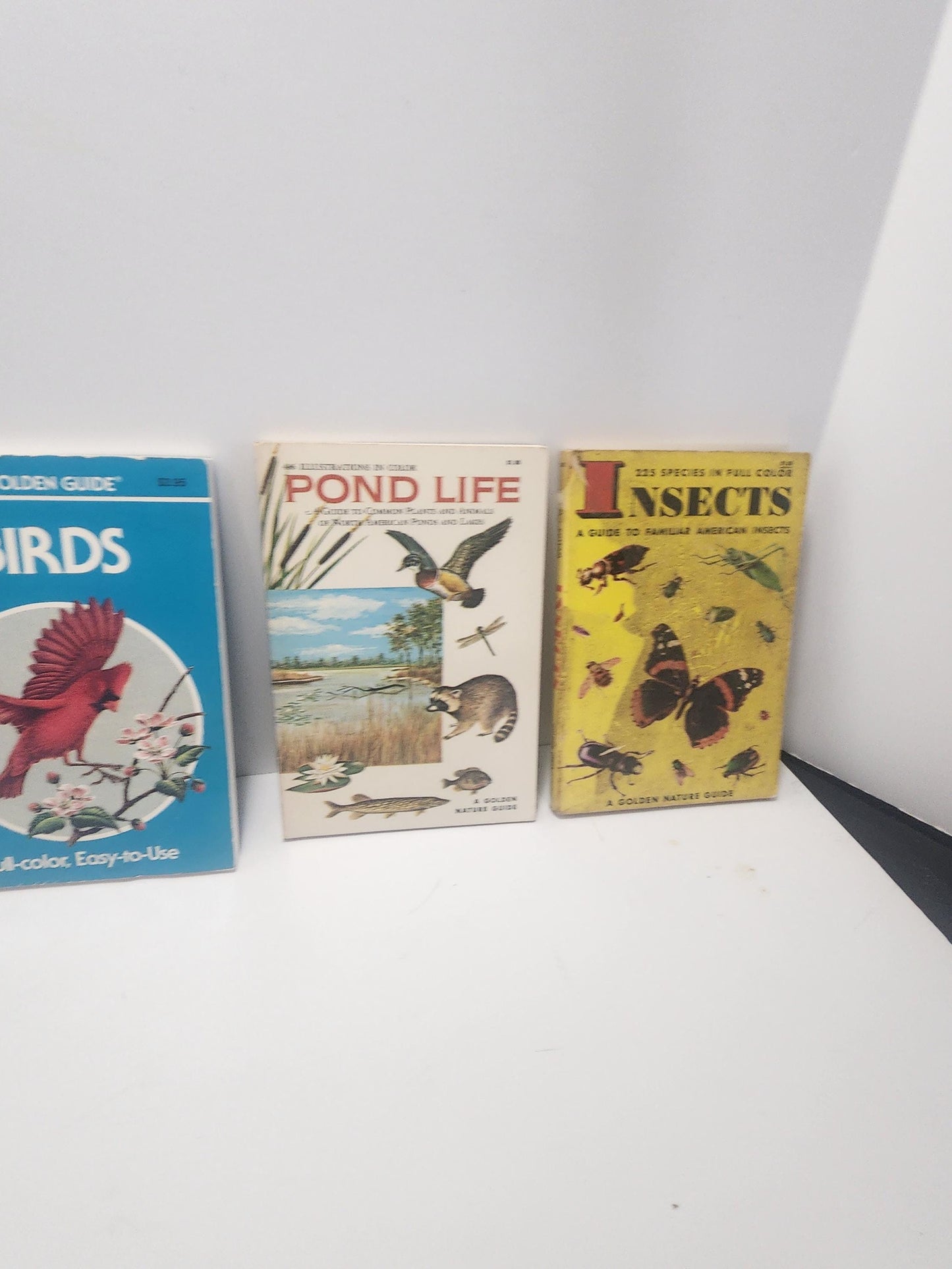 1950s Vintage Animal Guide & Information Books Lot of 5 - Animals - Animal Books - Vintage Books - Animal Gift - Birds - Reptiles