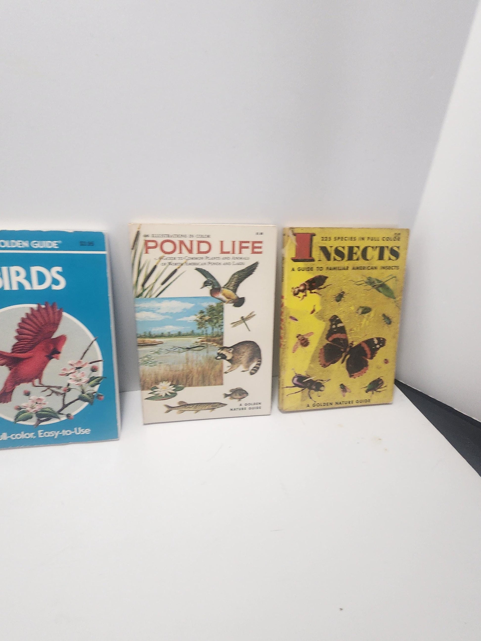 1950s Vintage Animal Guide & Information Books Lot of 5 - Animals - Animal Books - Vintage Books - Animal Gift - Birds - Reptiles
