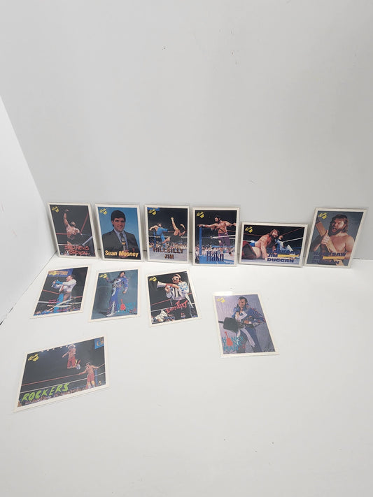 WWF Vintage 1990s Titans Sports Trading Cards LOT - Wwf - Wwe - Trading Cards - Sports Cards - Wrestling - Vintage WWF