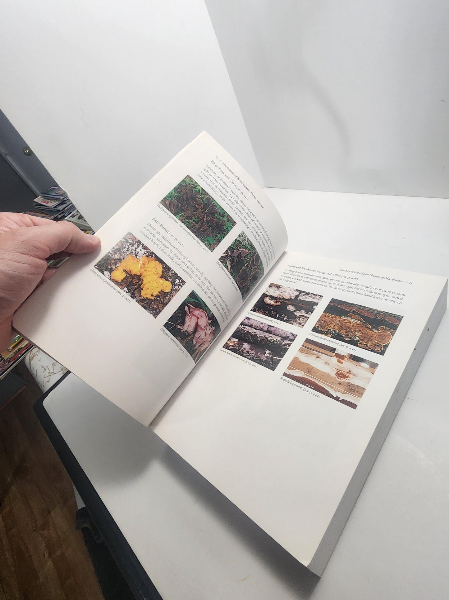 1990s Garden & Mushrooms Vintage Books - Mushrooms Of North America - Great Garden Formulas - Garden - Gardening - Gift For Gardener