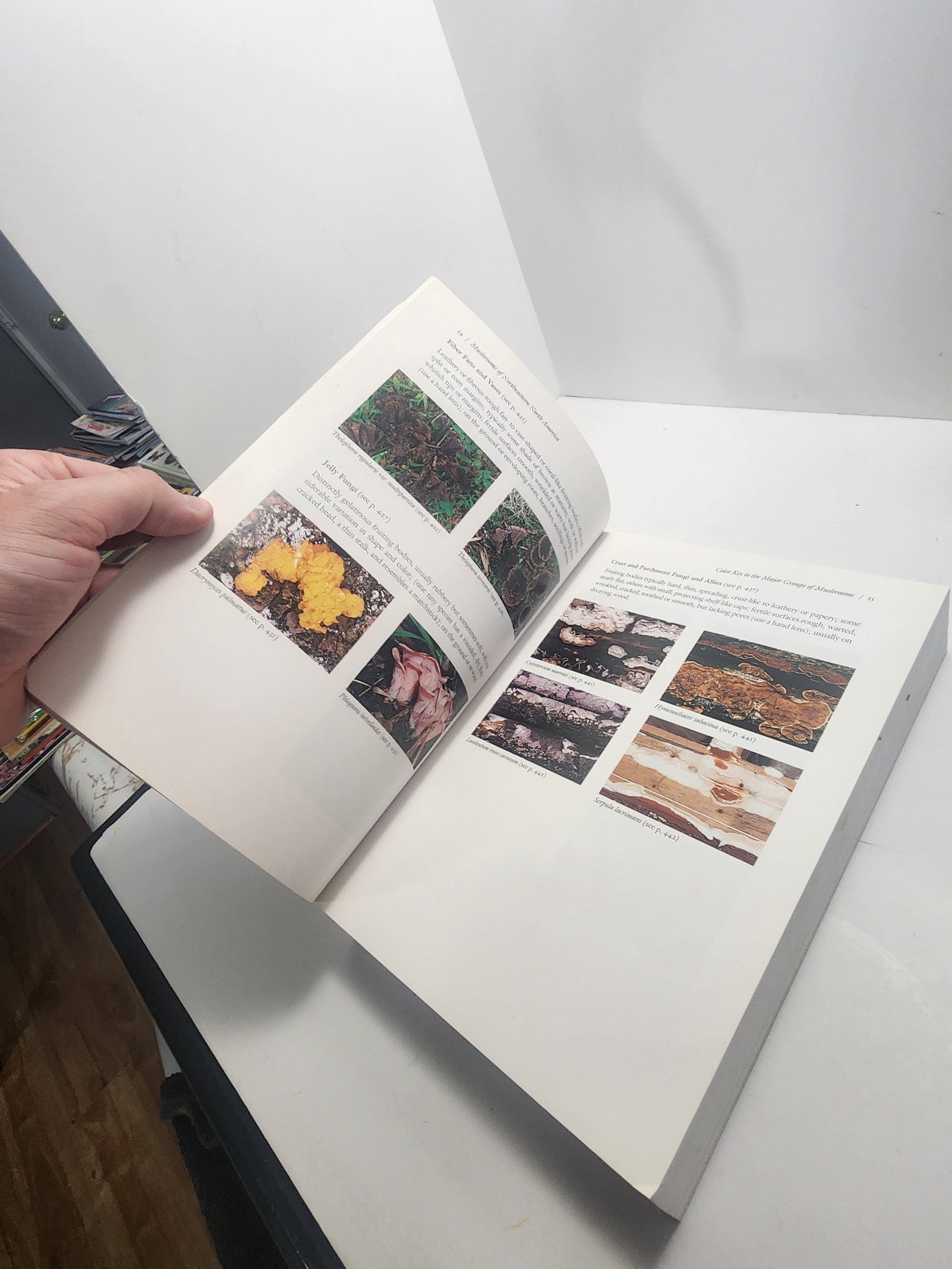 1990s Garden & Mushrooms Vintage Books - Mushrooms Of North America - Great Garden Formulas - Garden - Gardening - Gift For Gardener